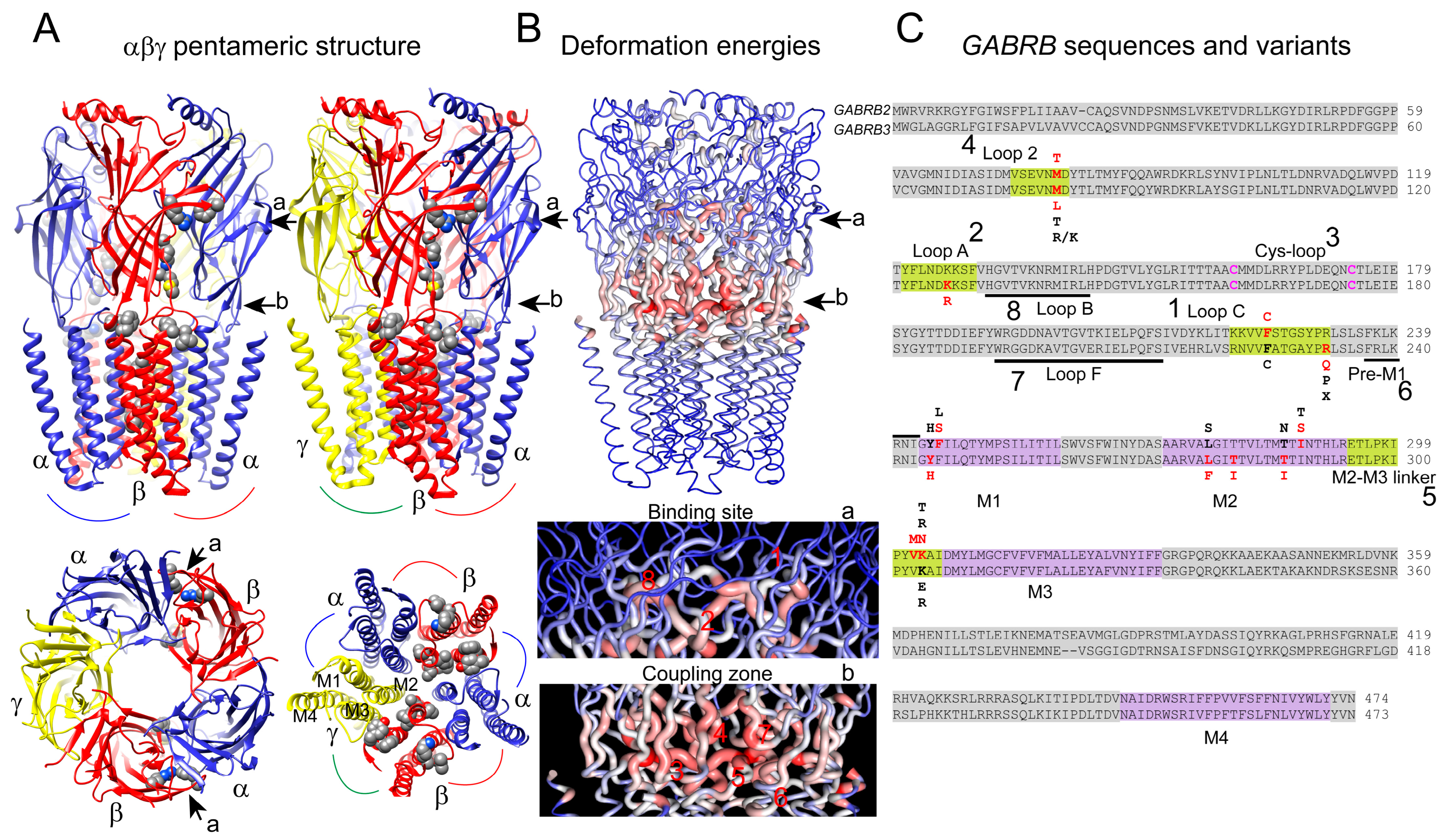 Biomolecules 13 01790 g001