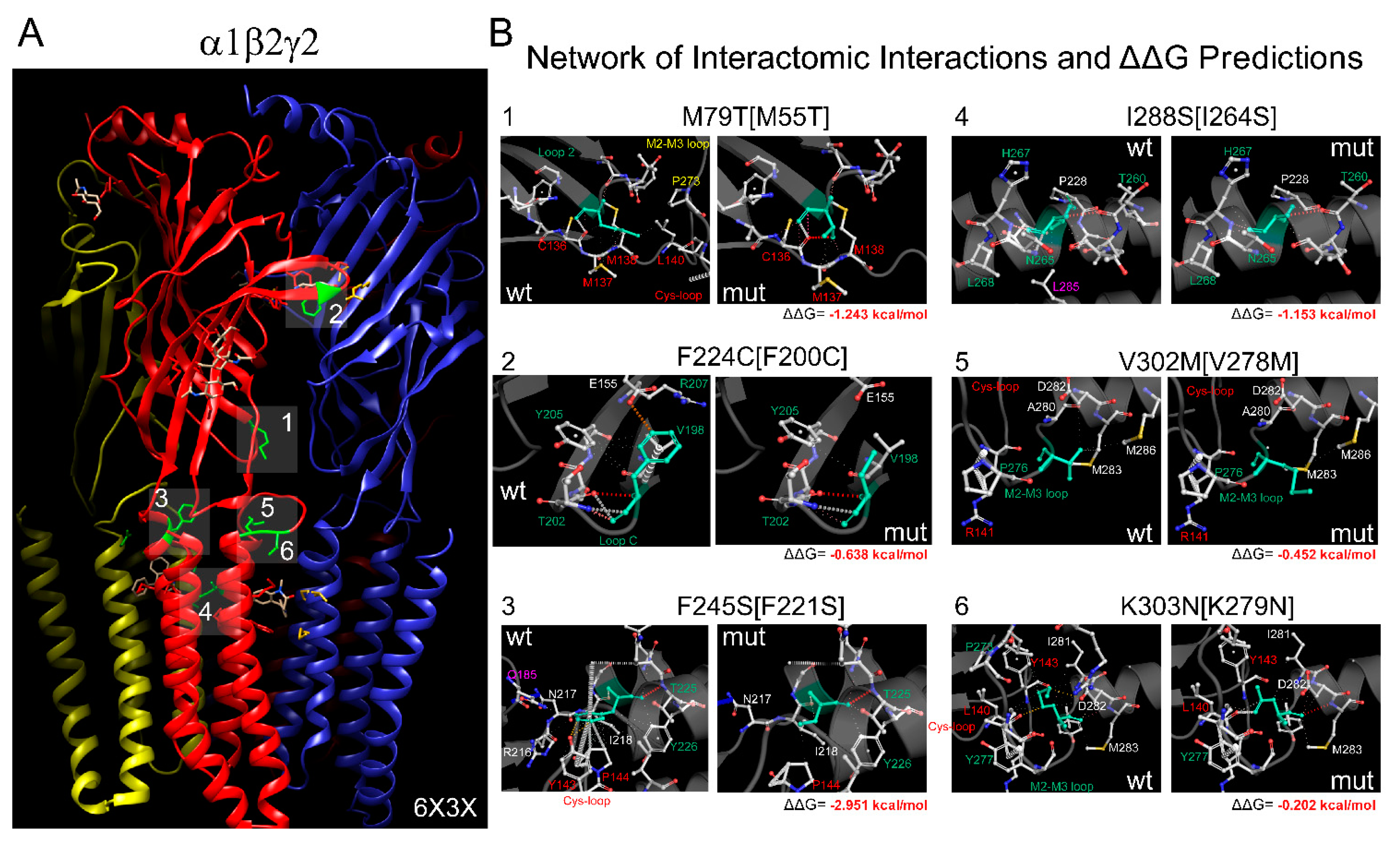 Biomolecules 13 01790 g002