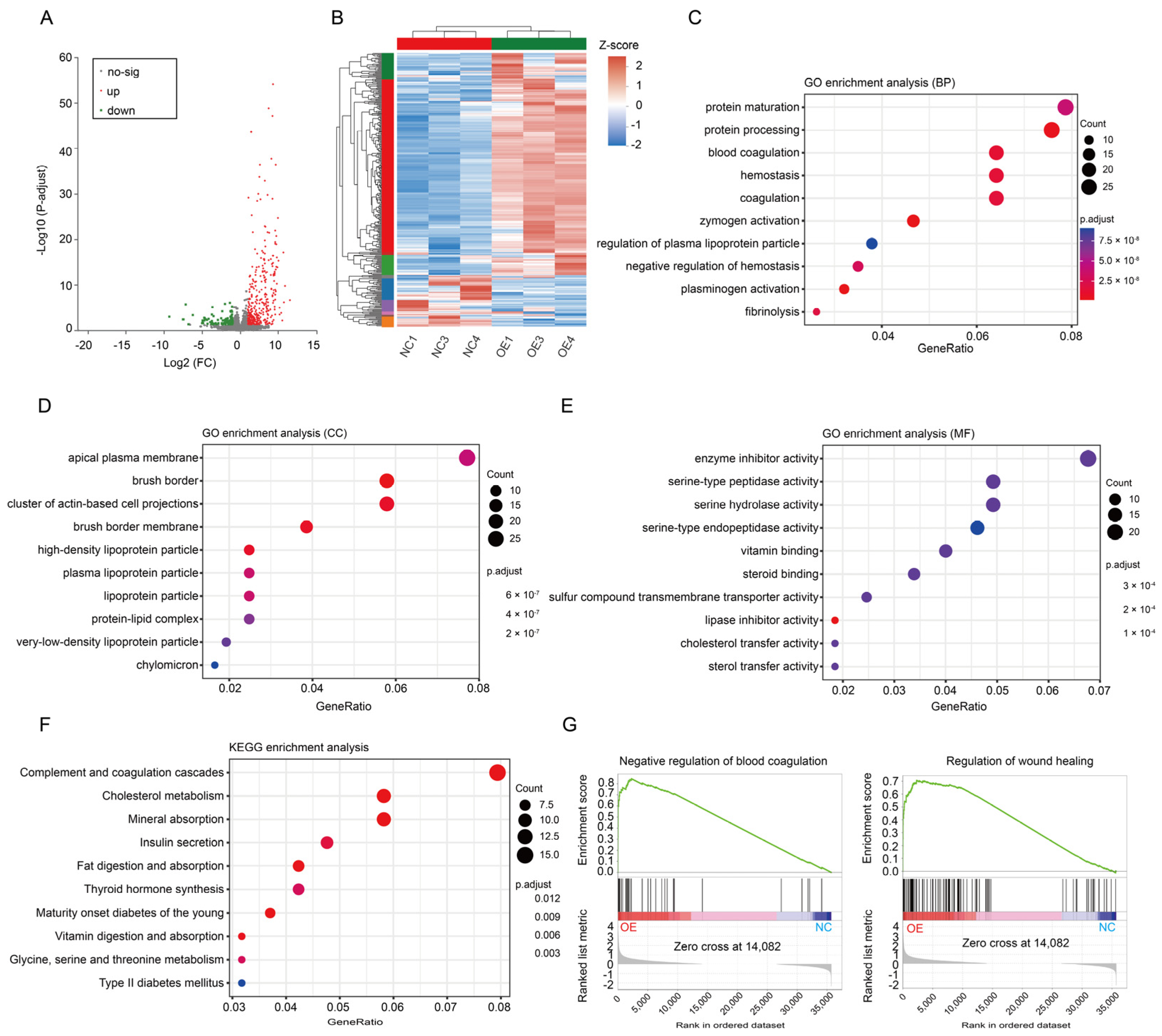 Biomolecules 13 01792 g005