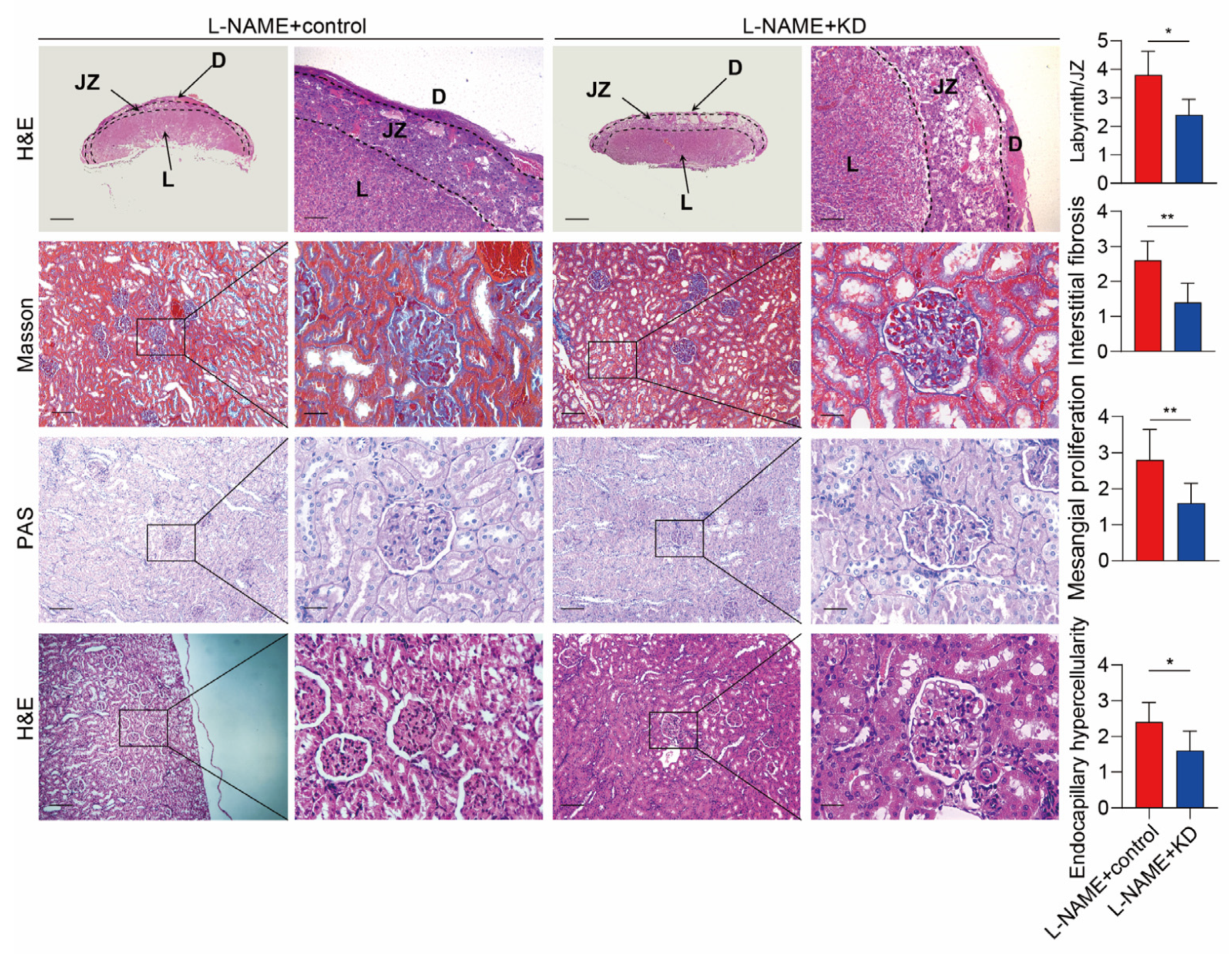 Biomolecules 13 01792 g007