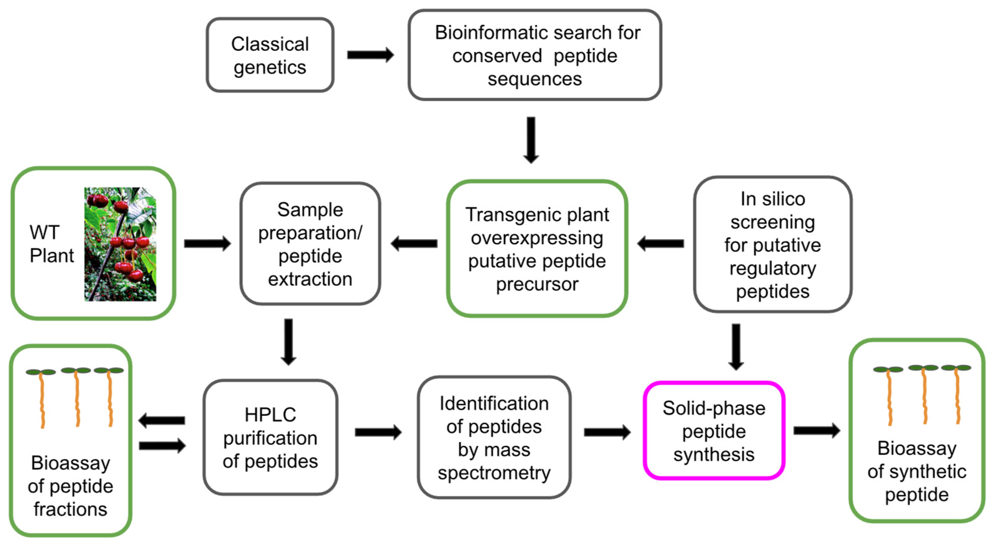 Biomolecules 13 01795 g001