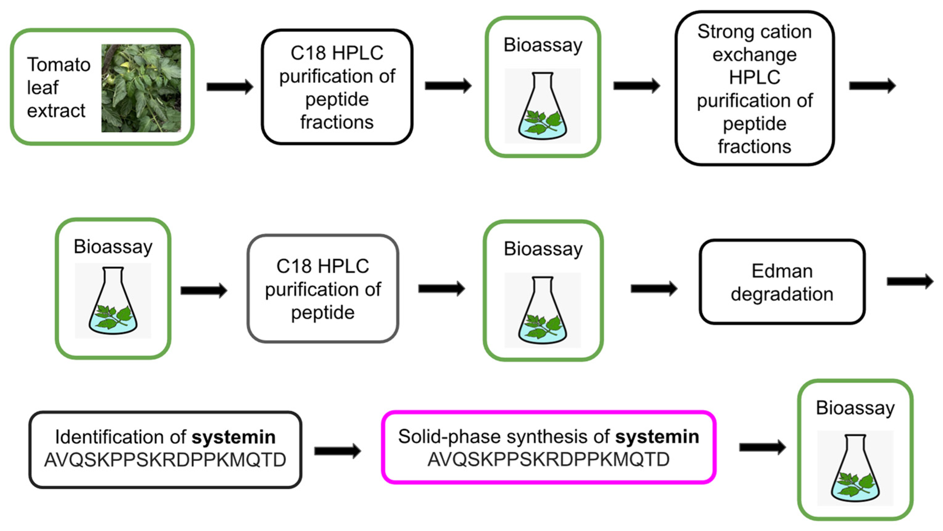 Biomolecules 13 01795 g002