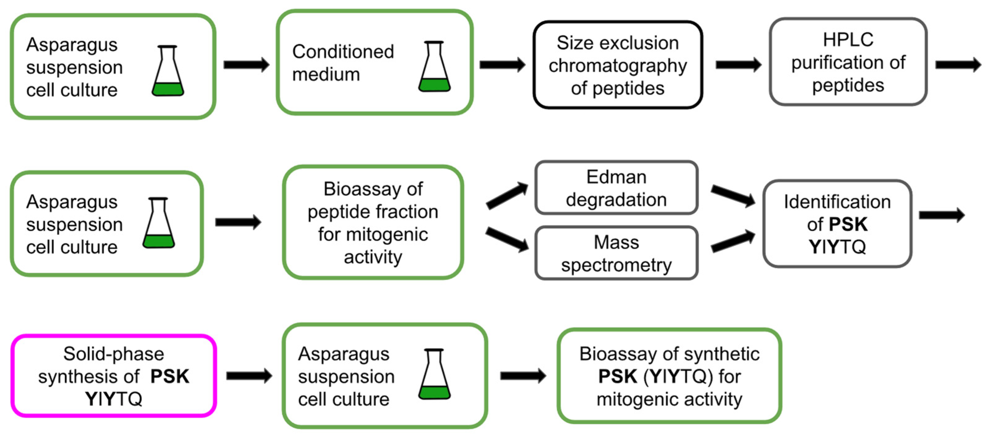Biomolecules 13 01795 g003