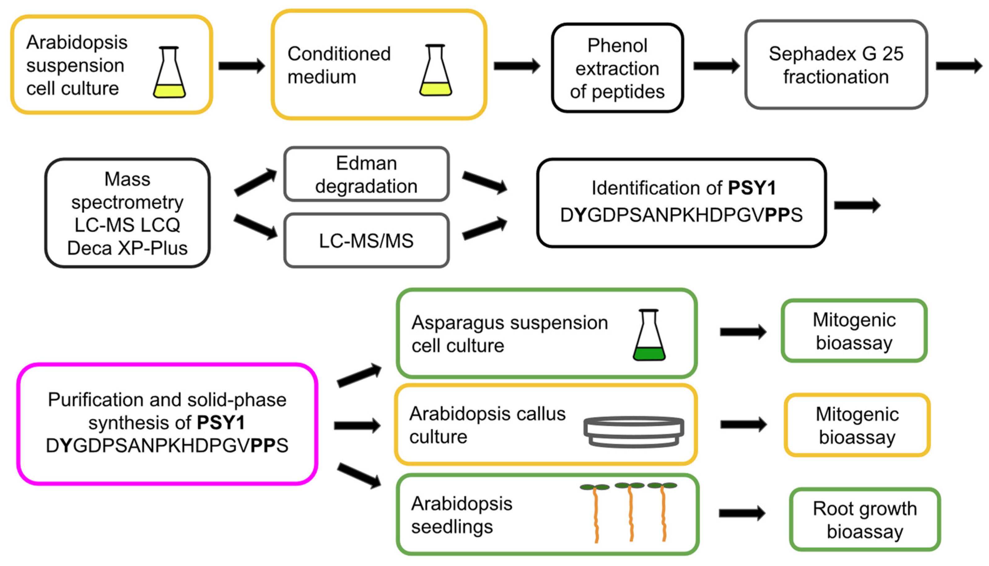 Biomolecules 13 01795 g004