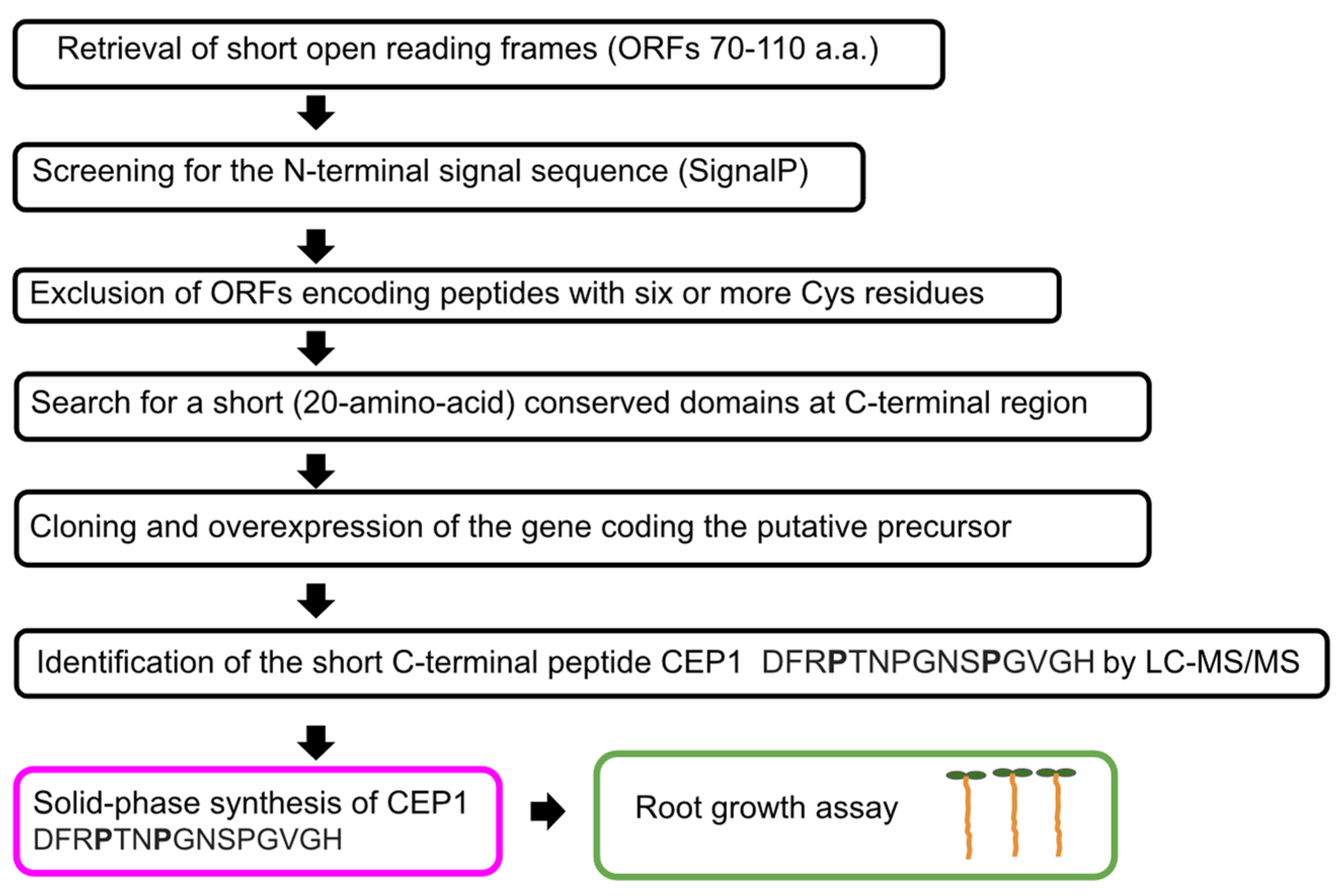 Biomolecules 13 01795 g006