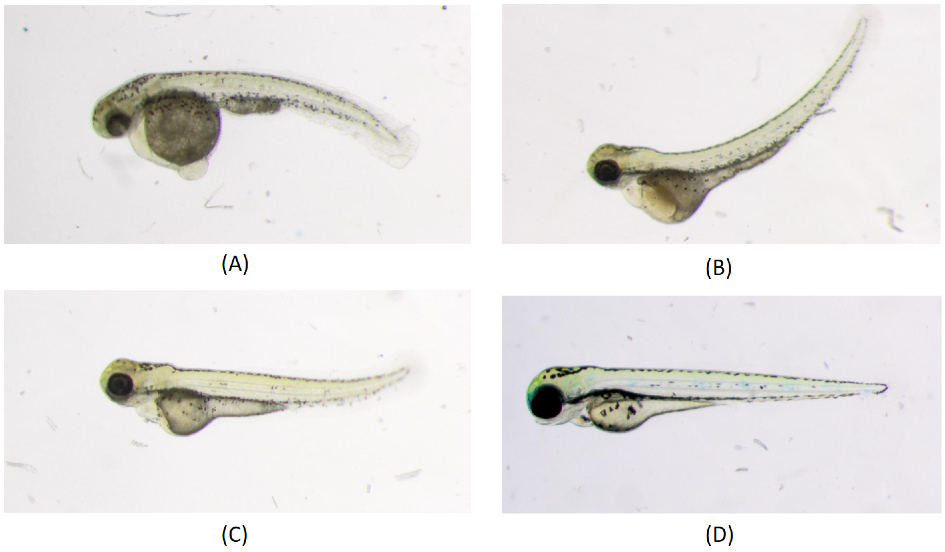 Biomolecules 13 01797 g002