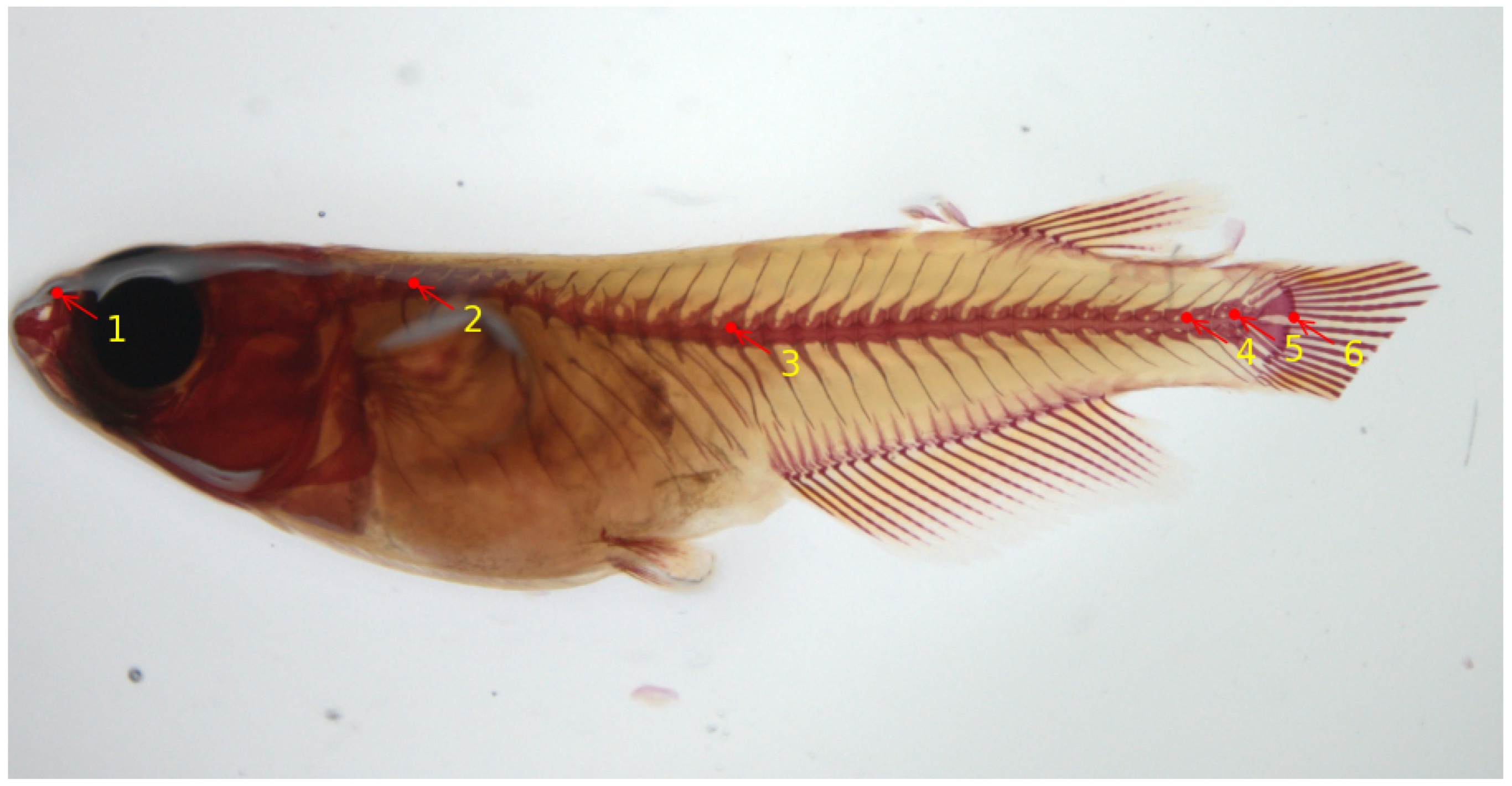 Biomolecules 13 01797 g004