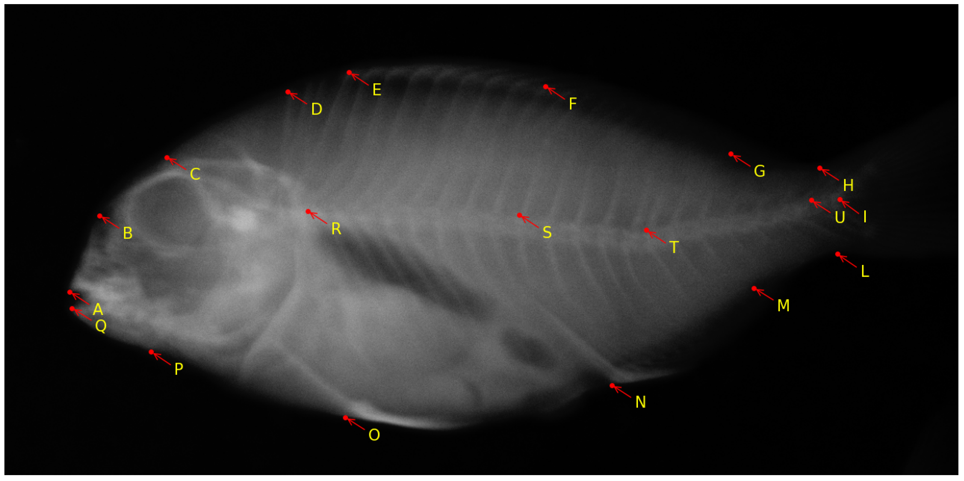 Biomolecules 13 01797 g006