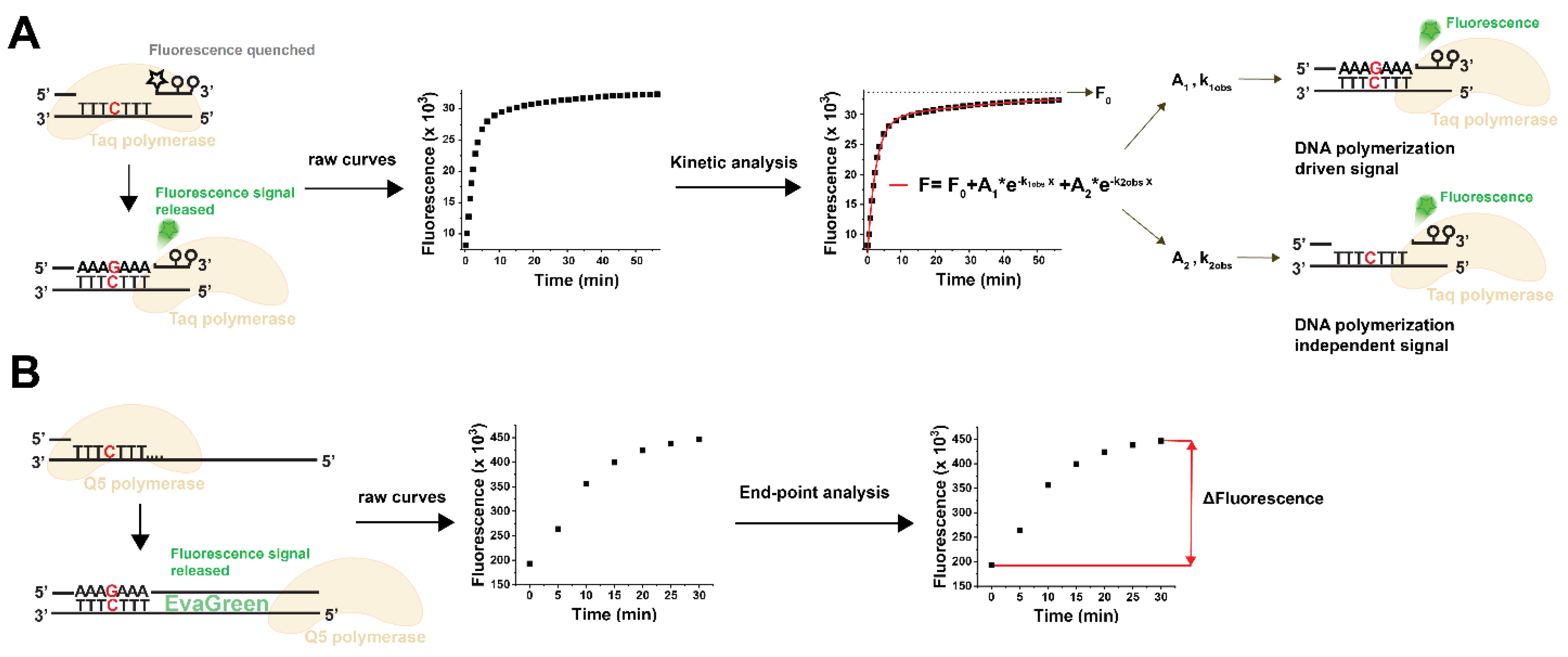 Biomolecules 13 01801 g001