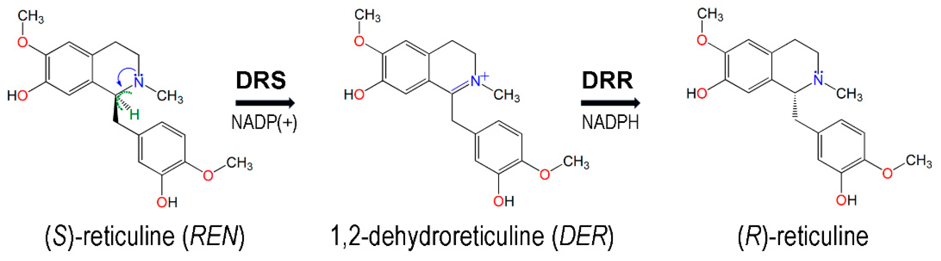 Biomolecules 14 00002 g001