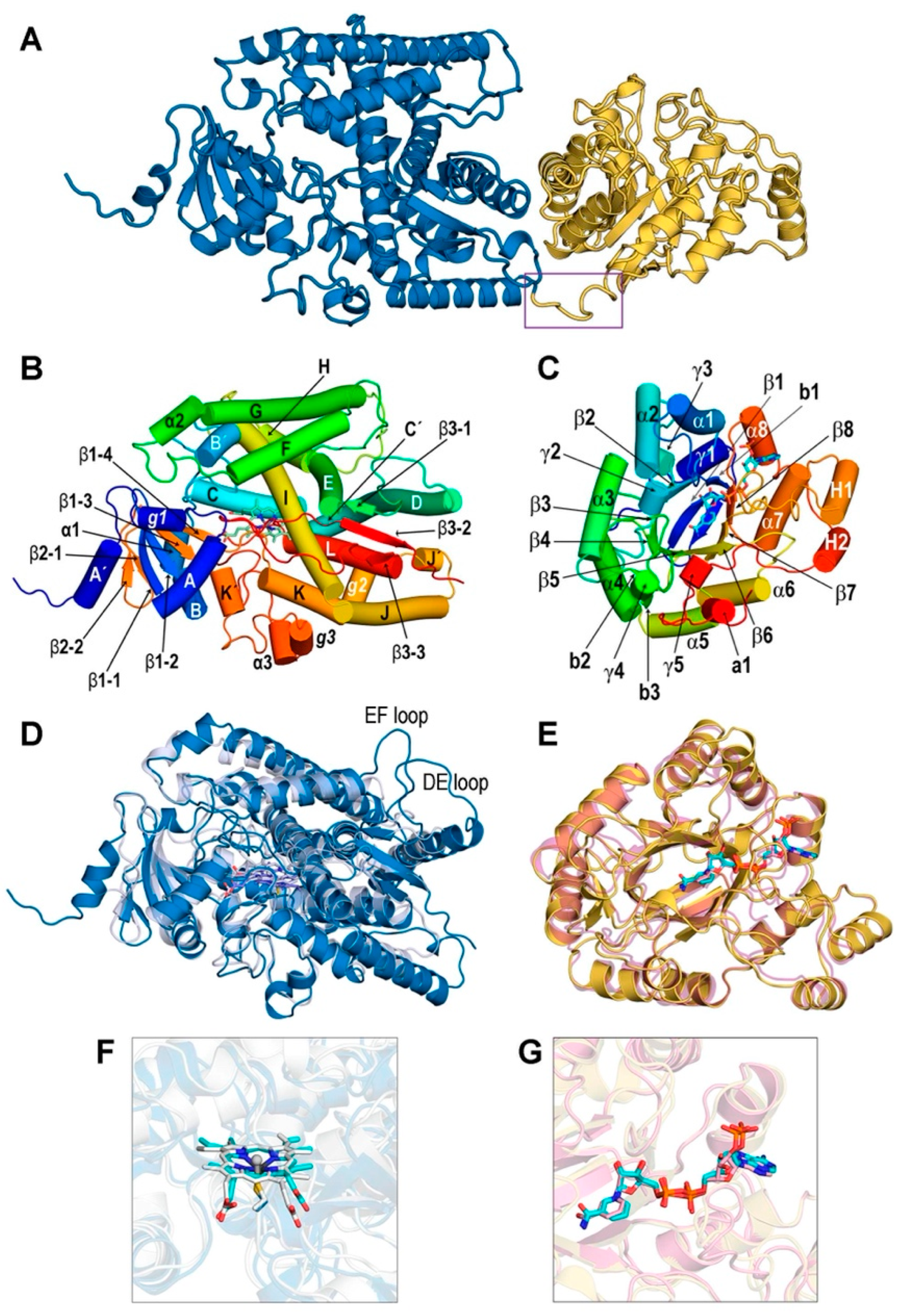 Biomolecules 14 00002 g002