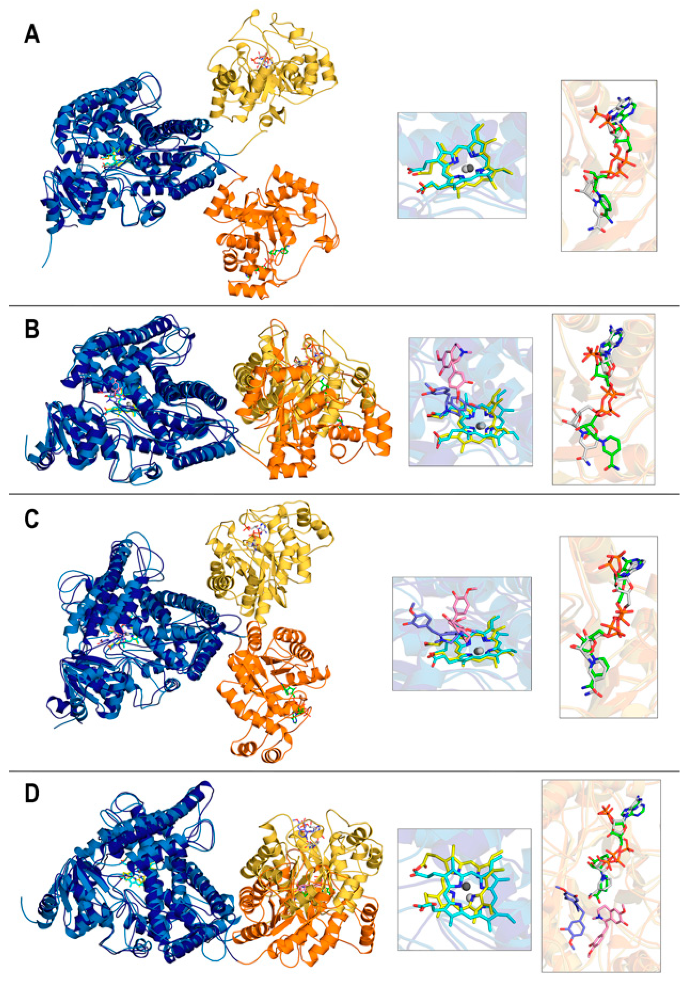 Biomolecules 14 00002 g004