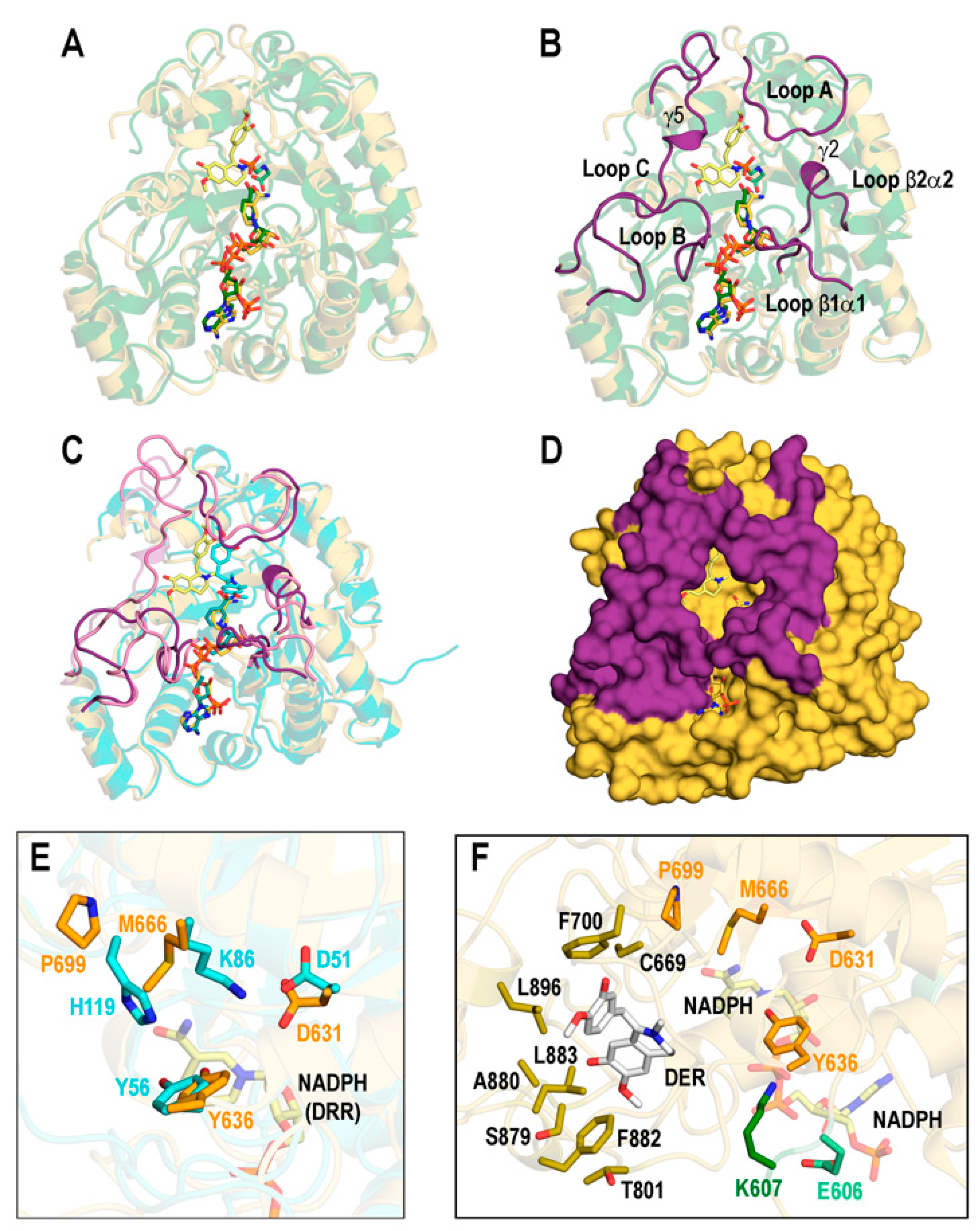 Biomolecules 14 00002 g006