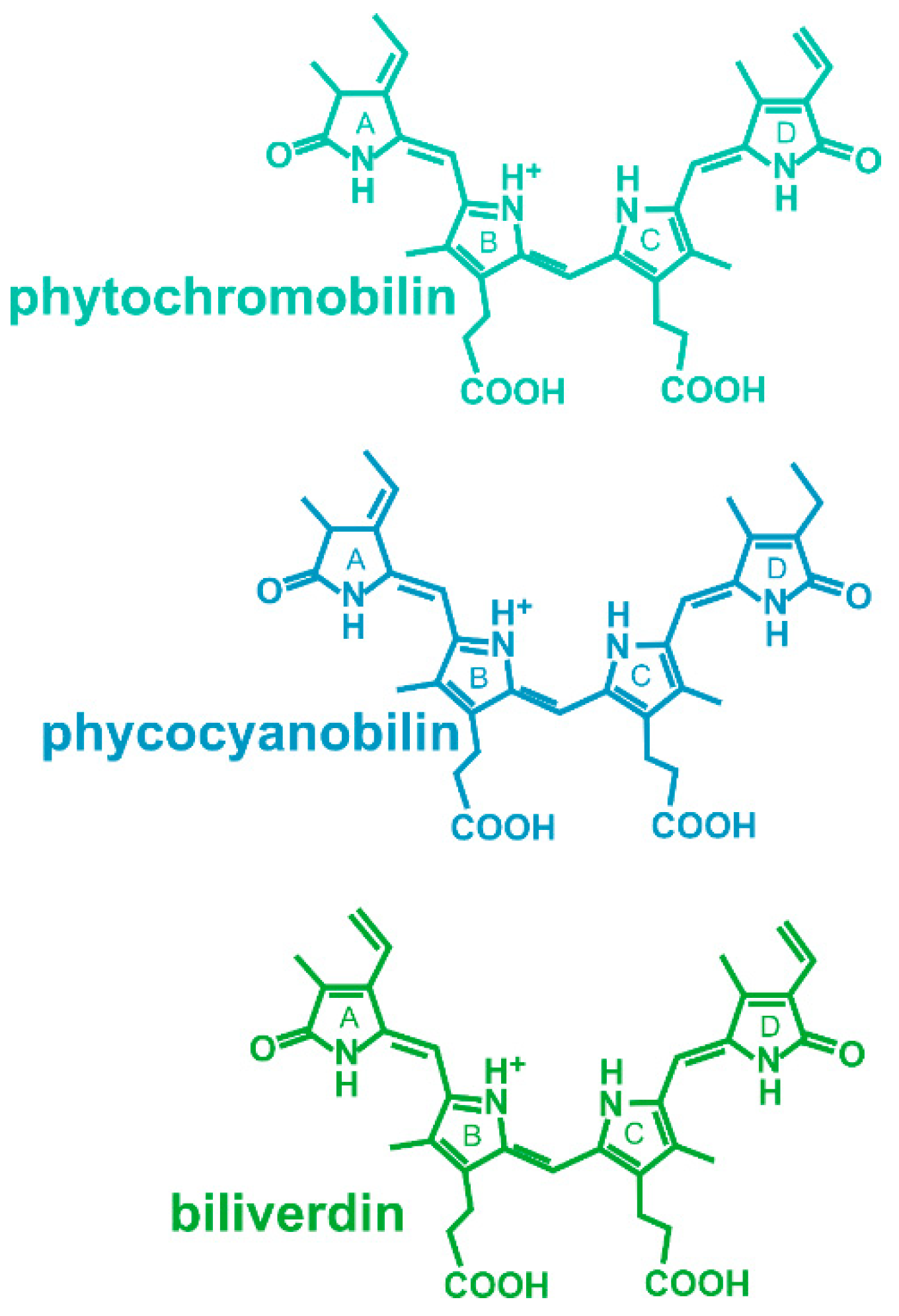 Biomolecules 14 00009 g001