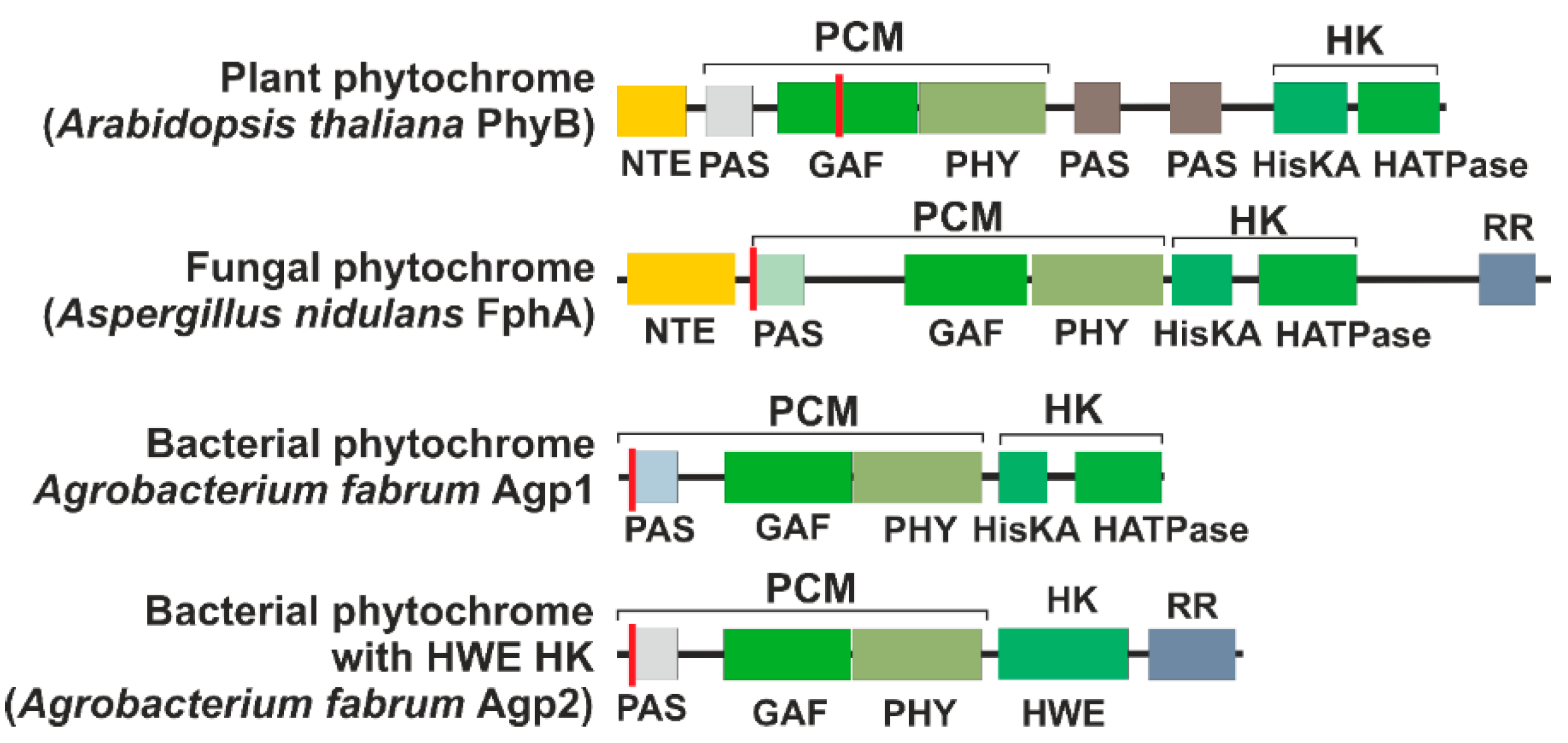 Biomolecules 14 00009 g002