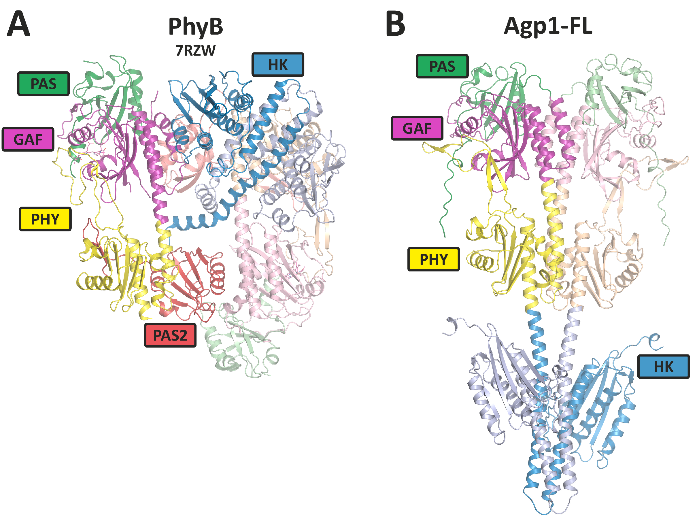 Biomolecules 14 00009 g003