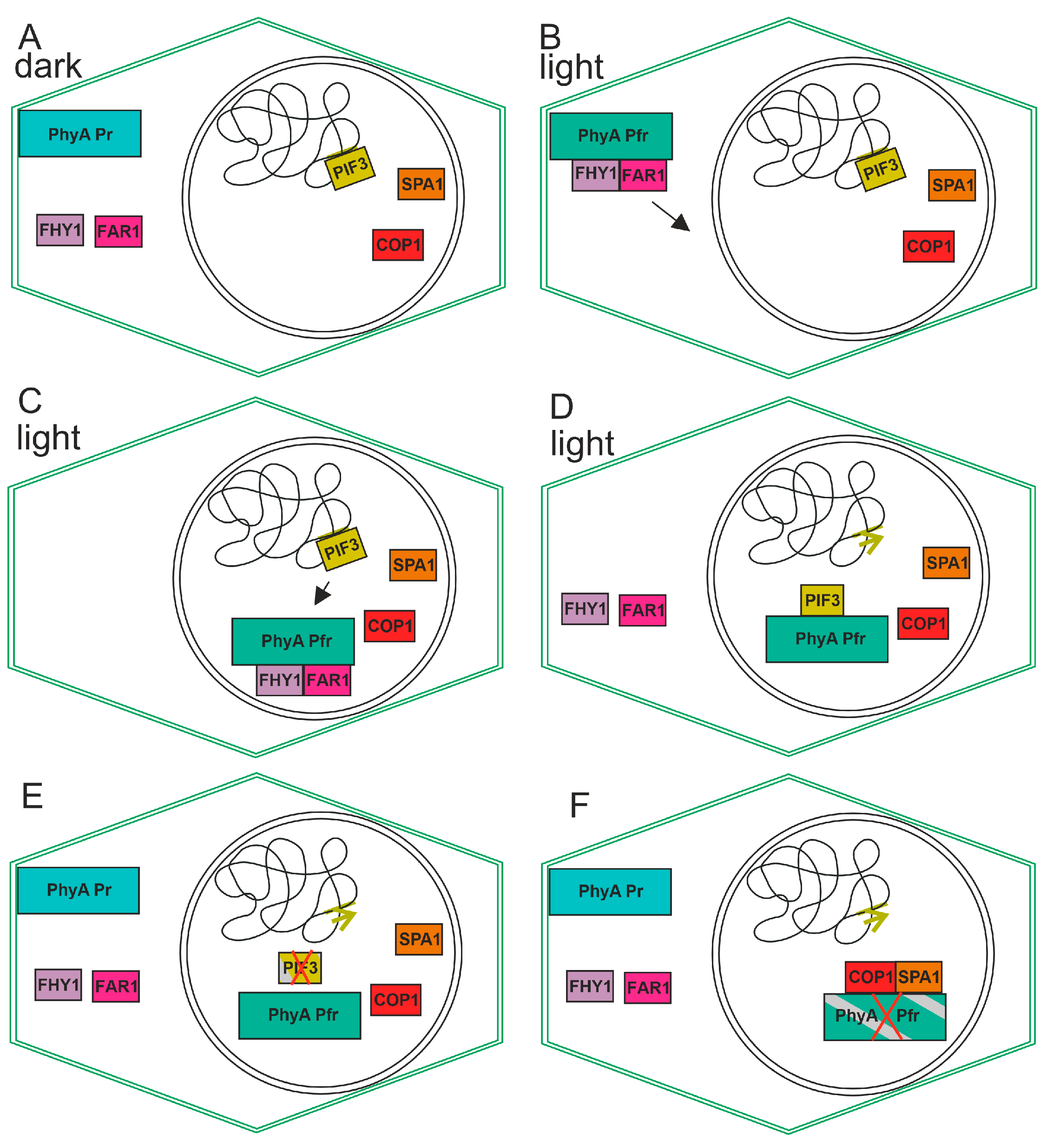 Biomolecules 14 00009 g004