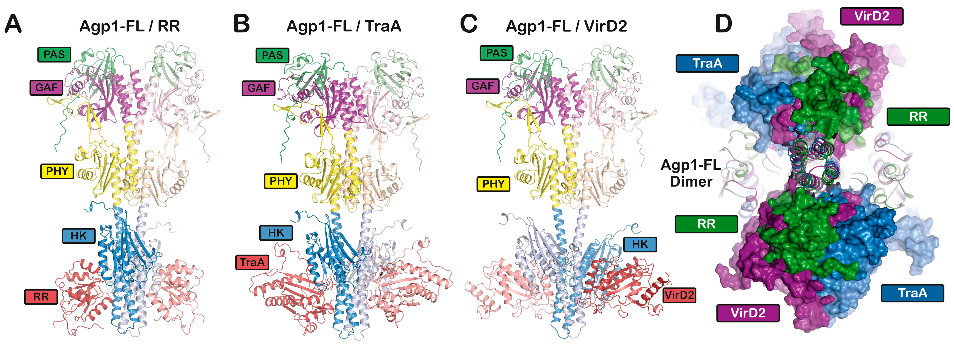 Biomolecules 14 00009 g005