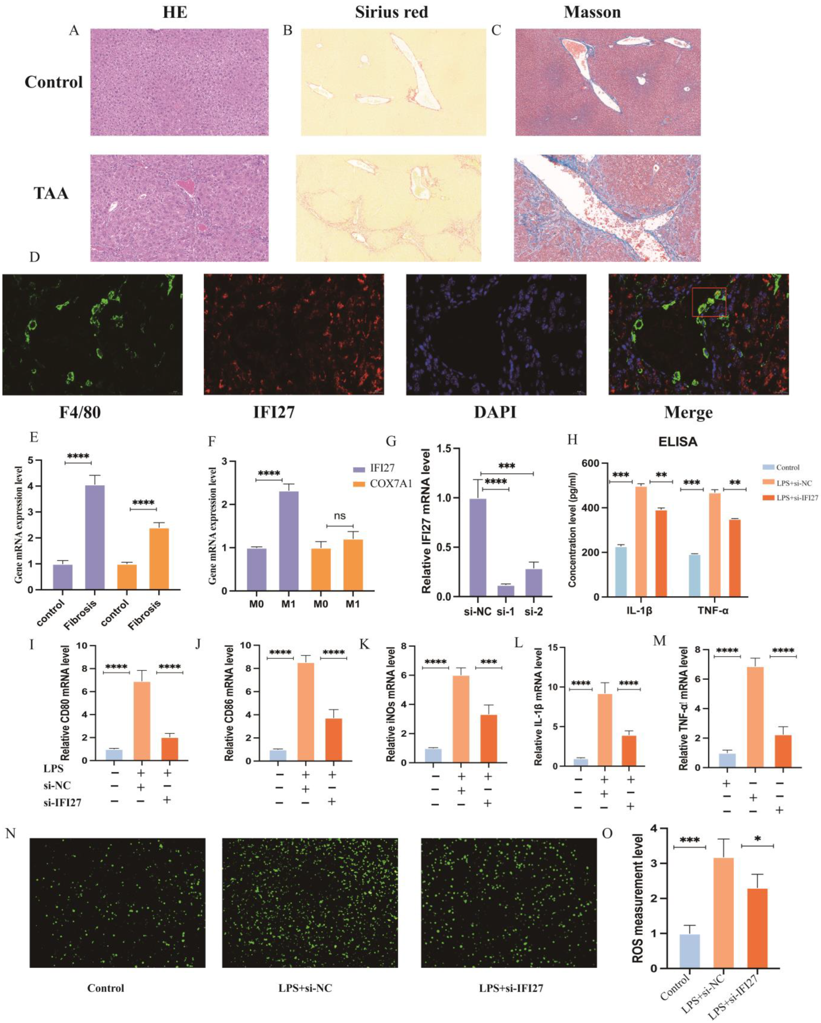 Biomolecules 14 00013 g008