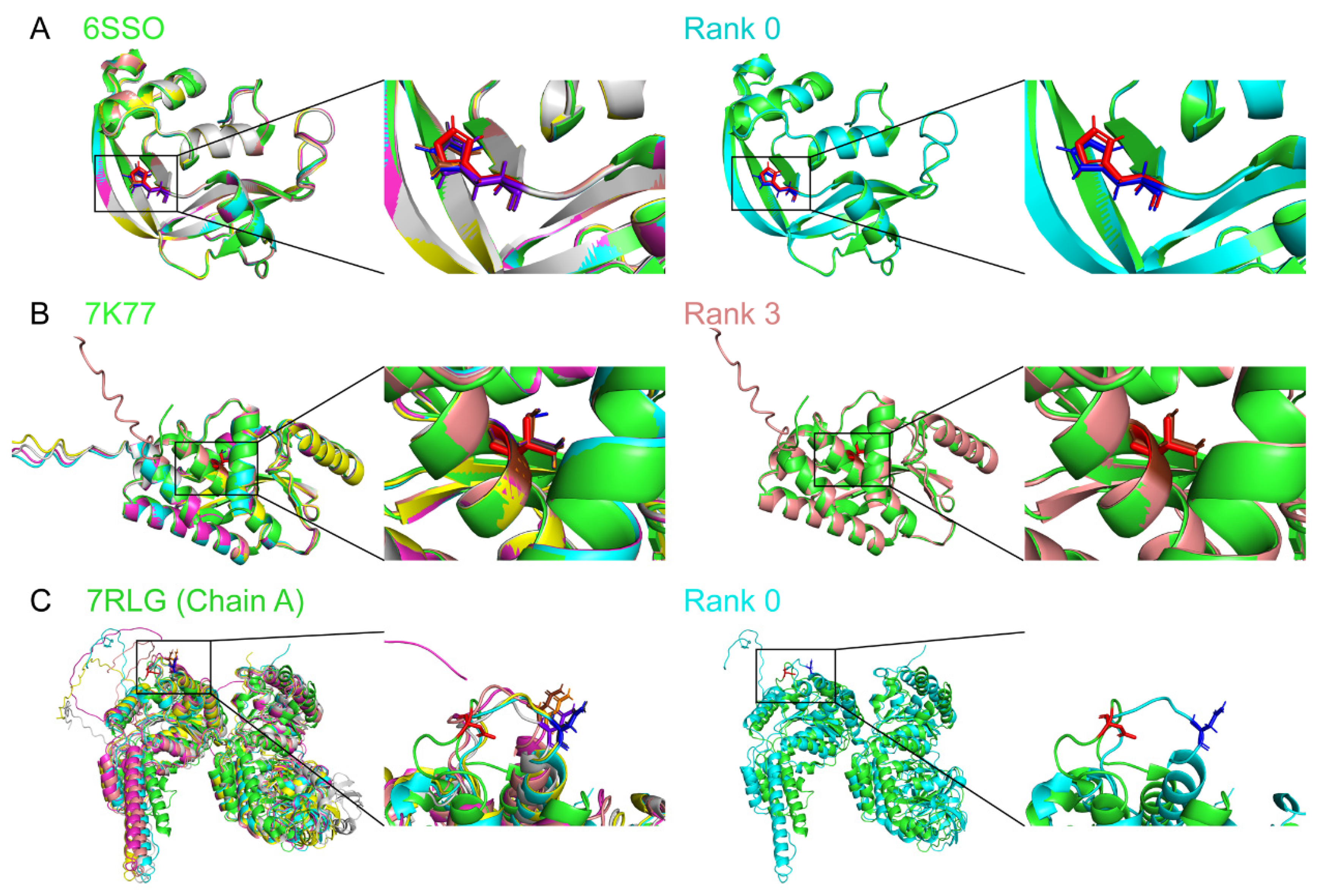 Biomolecules 14 00014 g001 Biomolecules 14 00014 g001