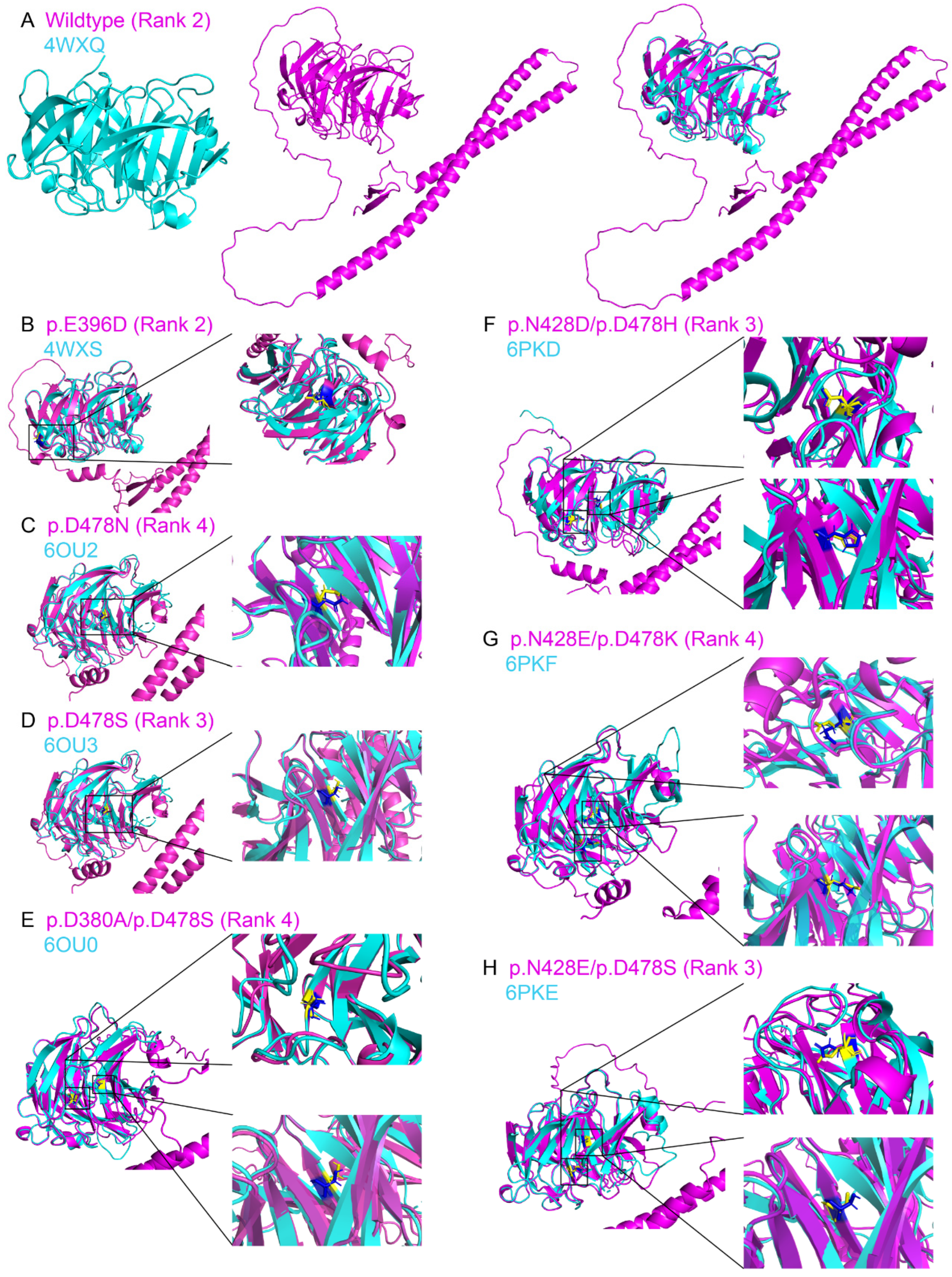 Biomolecules 14 00014 g002 Biomolecules 14 00014 g002