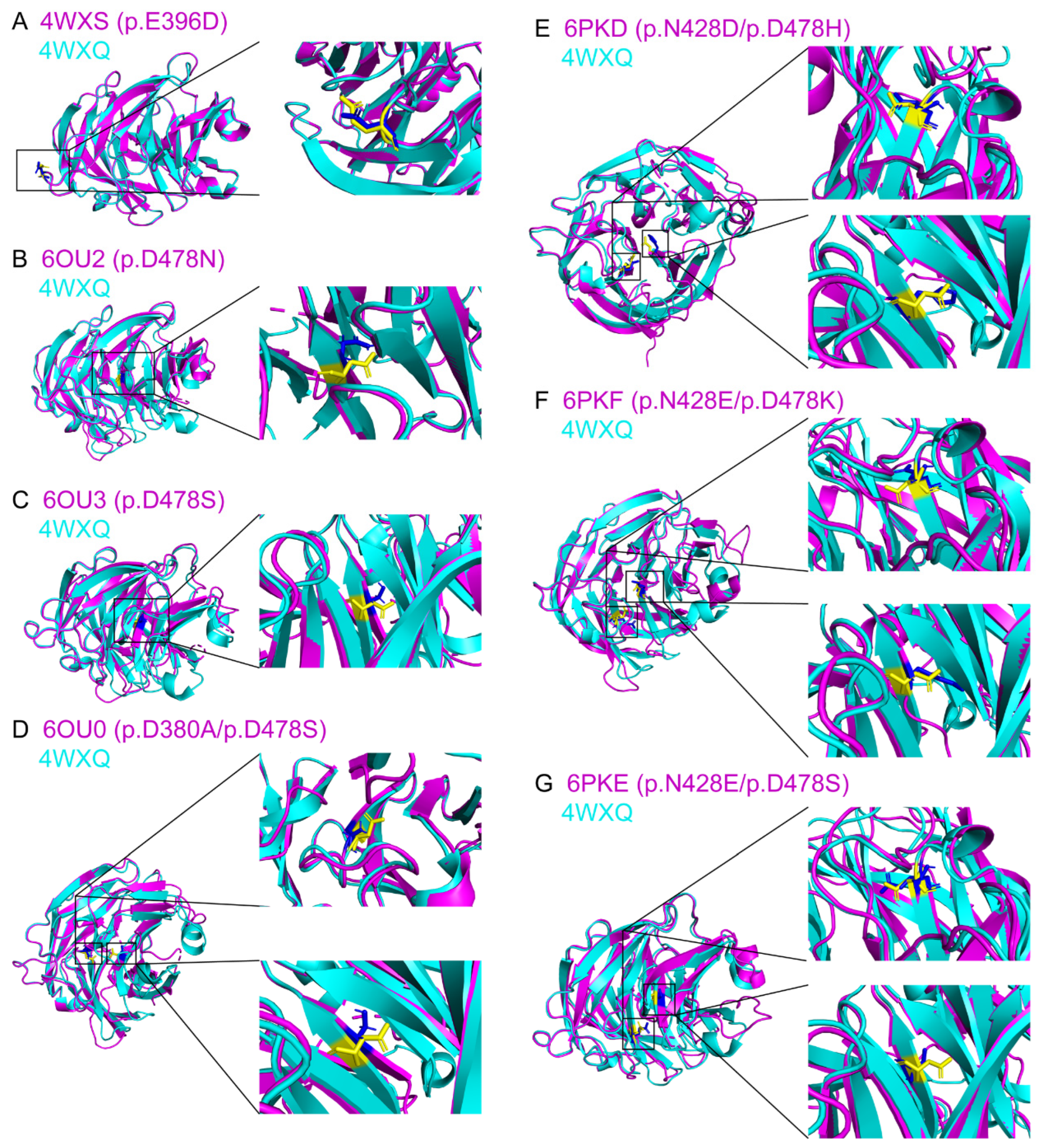 Biomolecules 14 00014 g003 Biomolecules 14 00014 g003