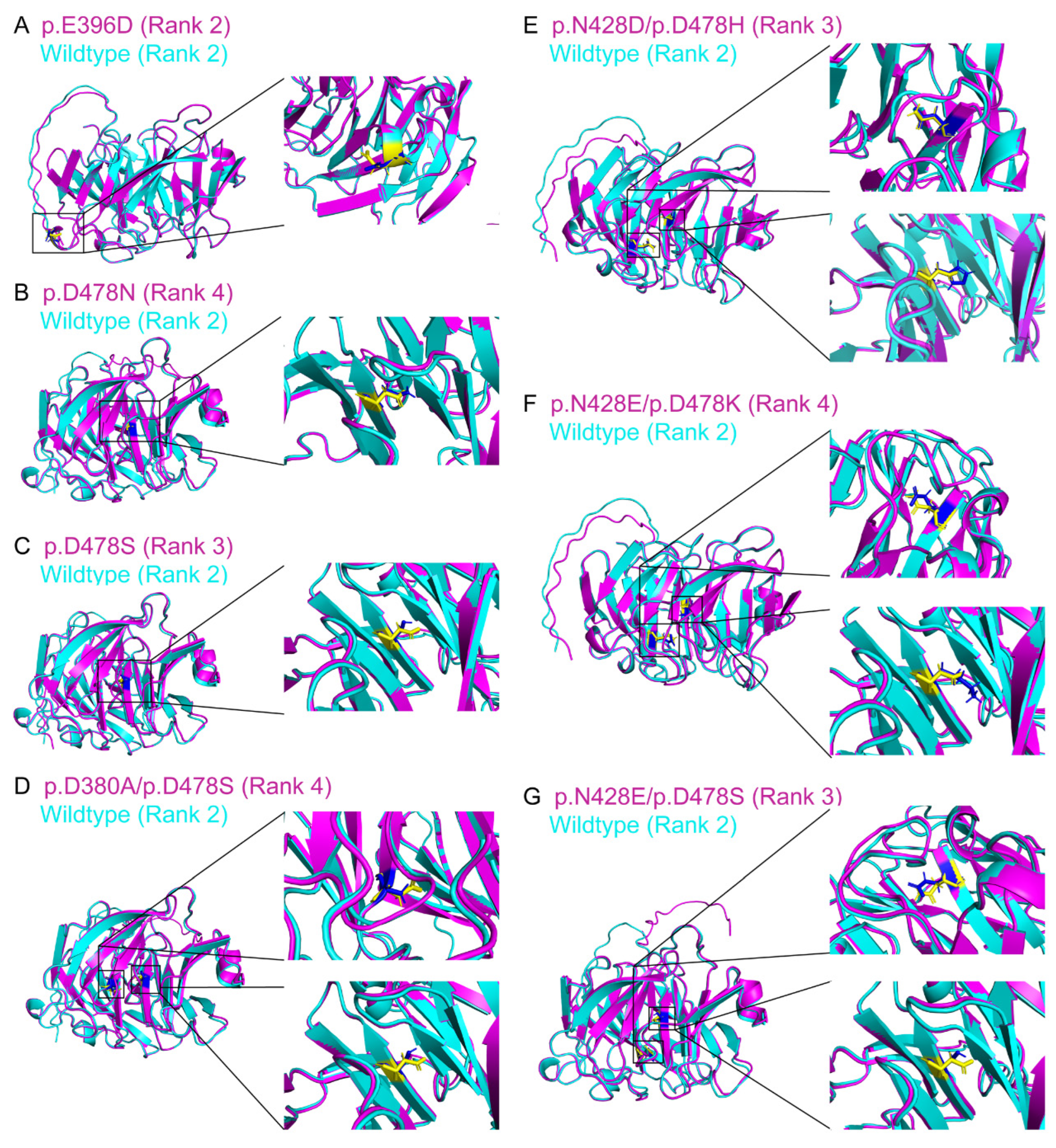 Biomolecules 14 00014 g004 Biomolecules 14 00014 g004
