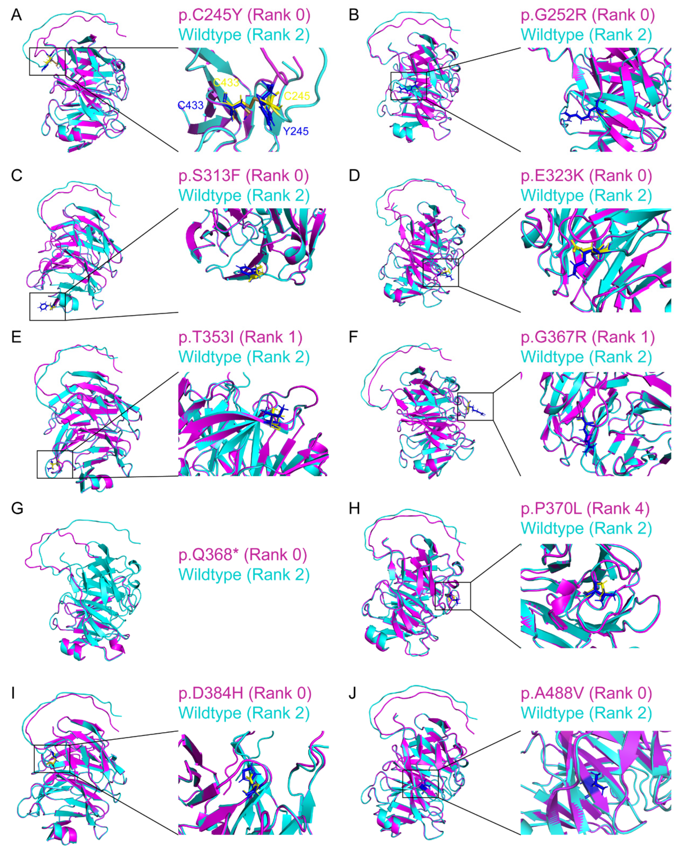 Biomolecules 14 00014 g005 Biomolecules 14 00014 g005