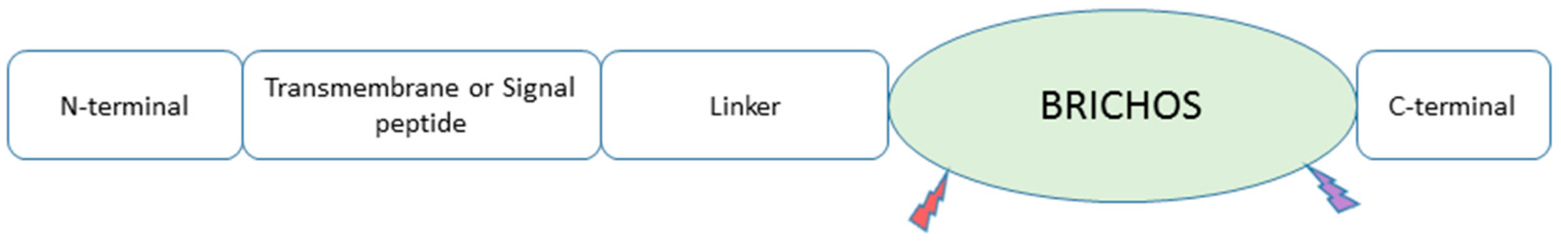 Biomolecules 14 00016 g002