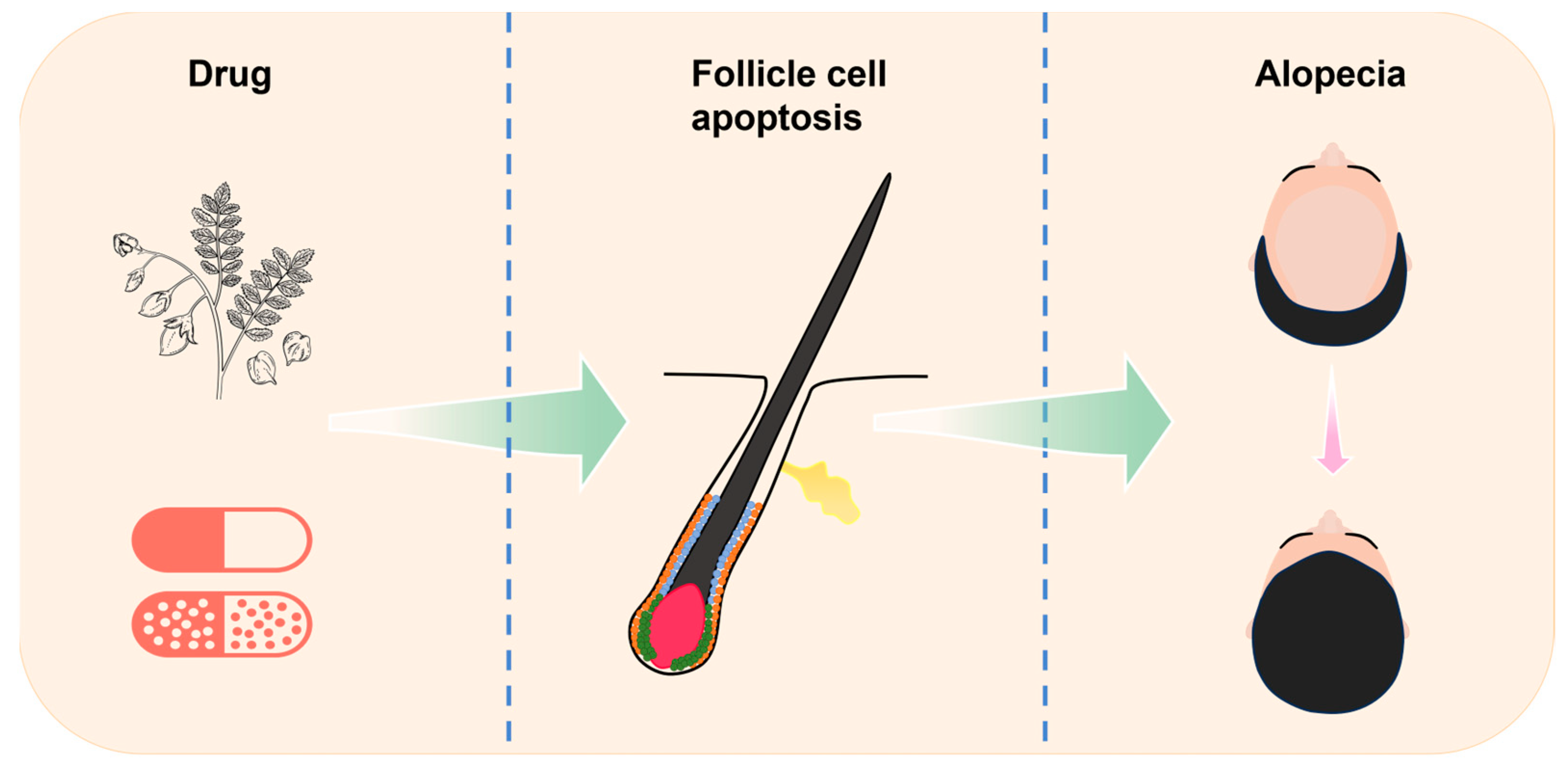 Biomolecules 14 00020 g001