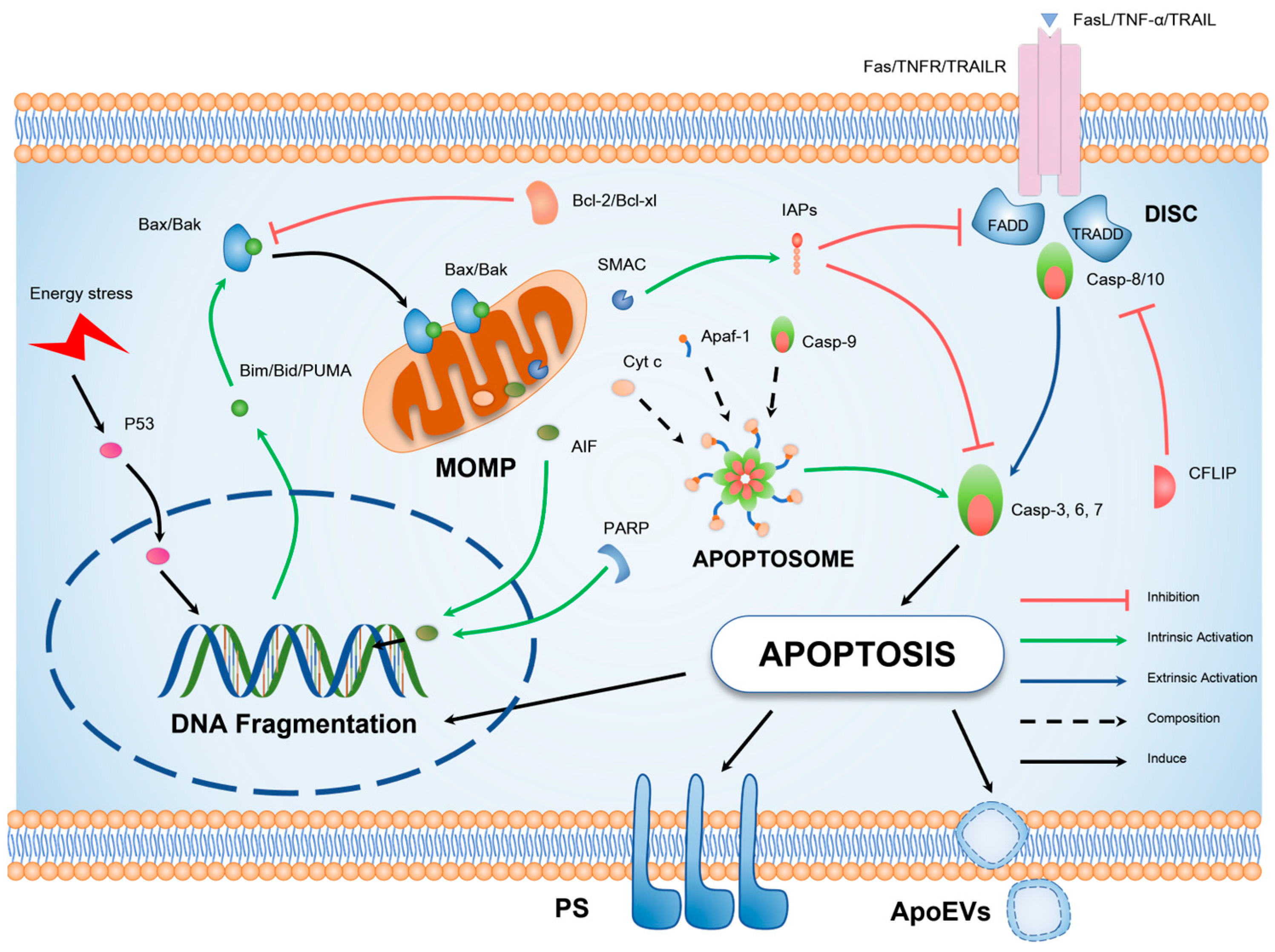 Biomolecules 14 00020 g002