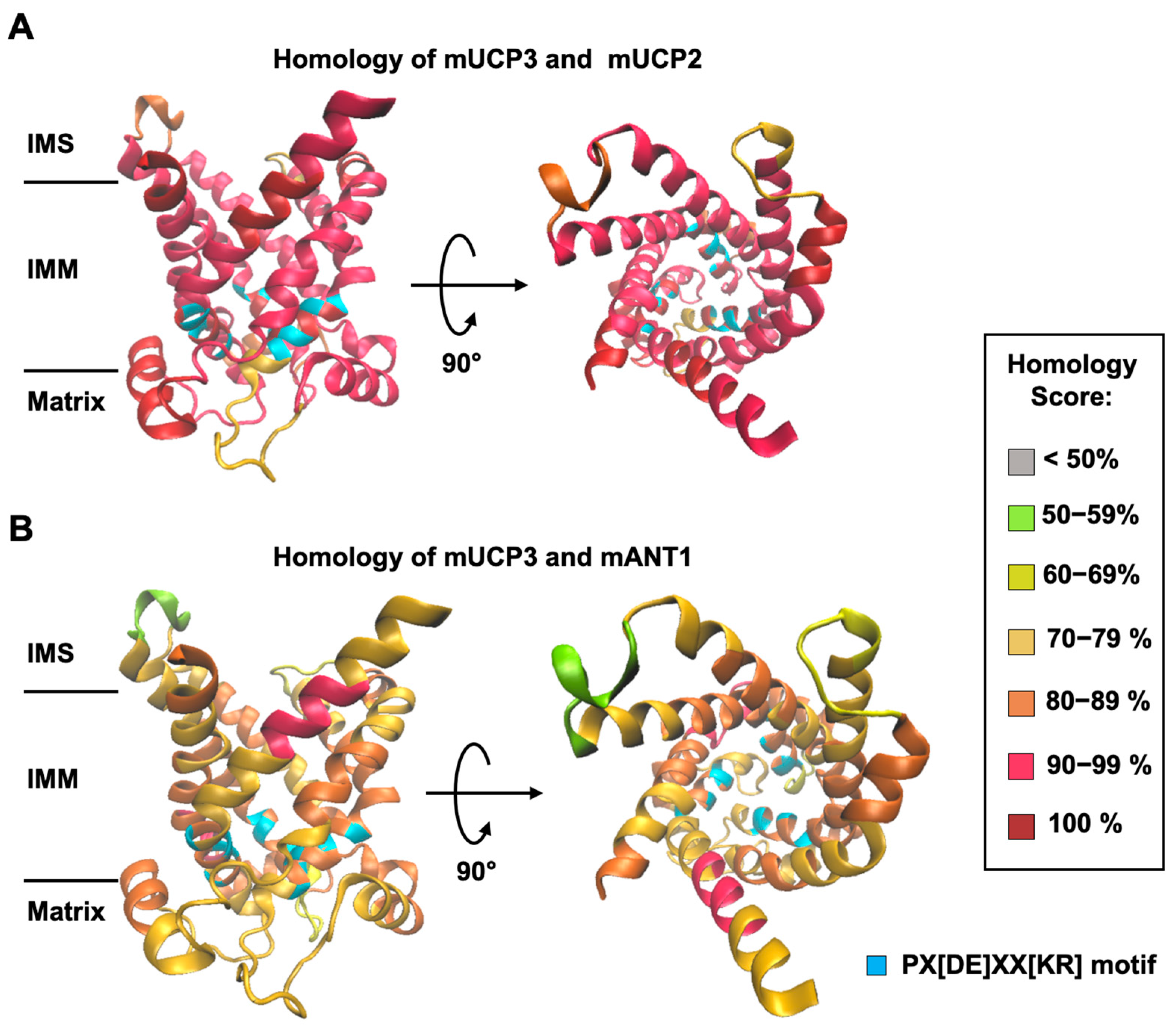 Biomolecules 14 00021 g001