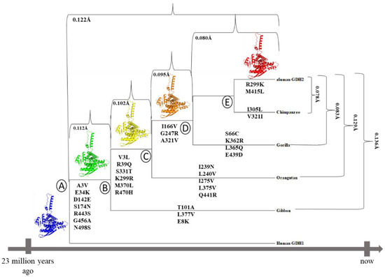 Biomolecules 14 00022 g001