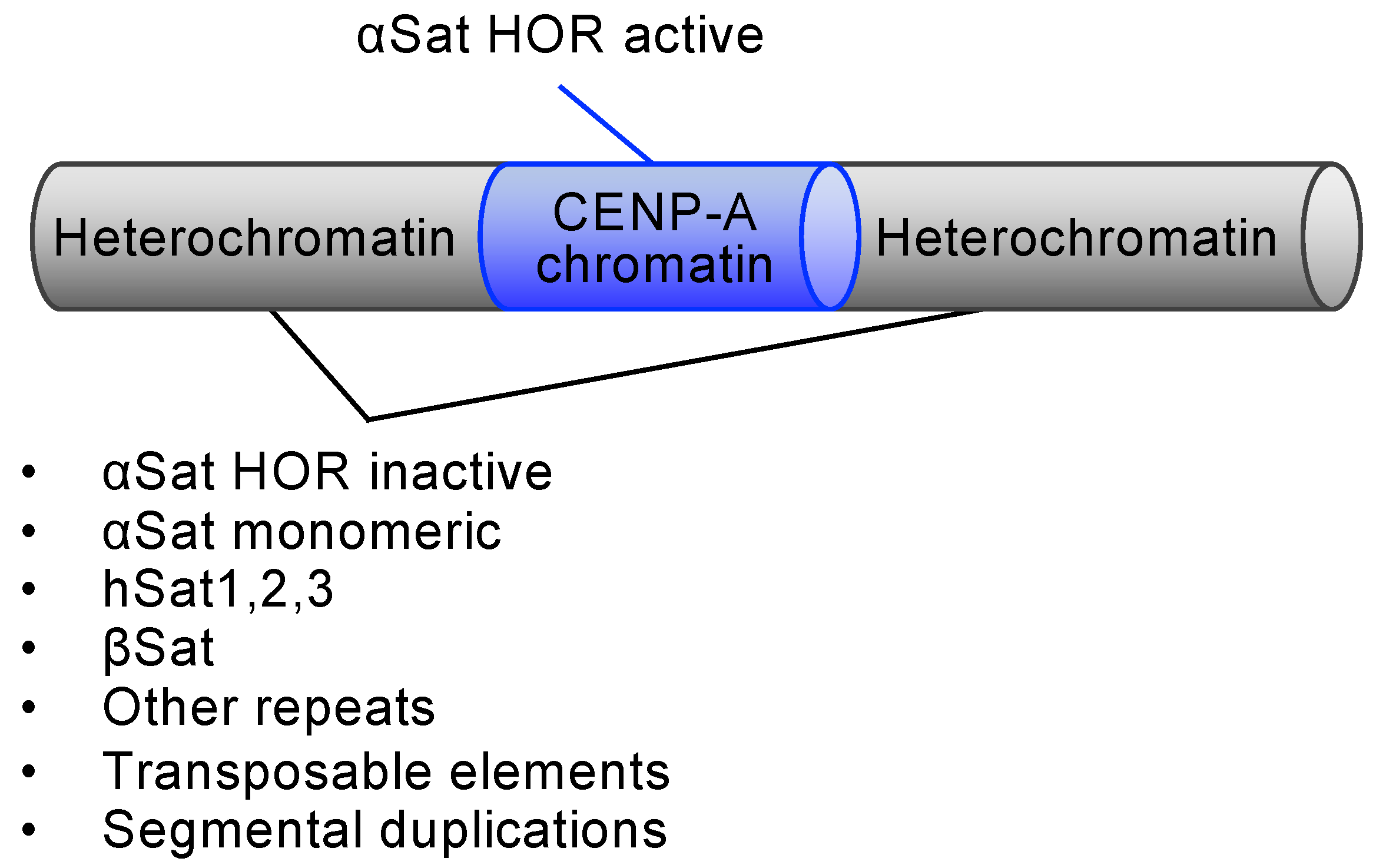 Biomolecules 14 00028 g001 Biomolecules 14 00028 g001