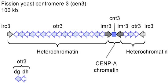 Biomolecules 14 00028 g003