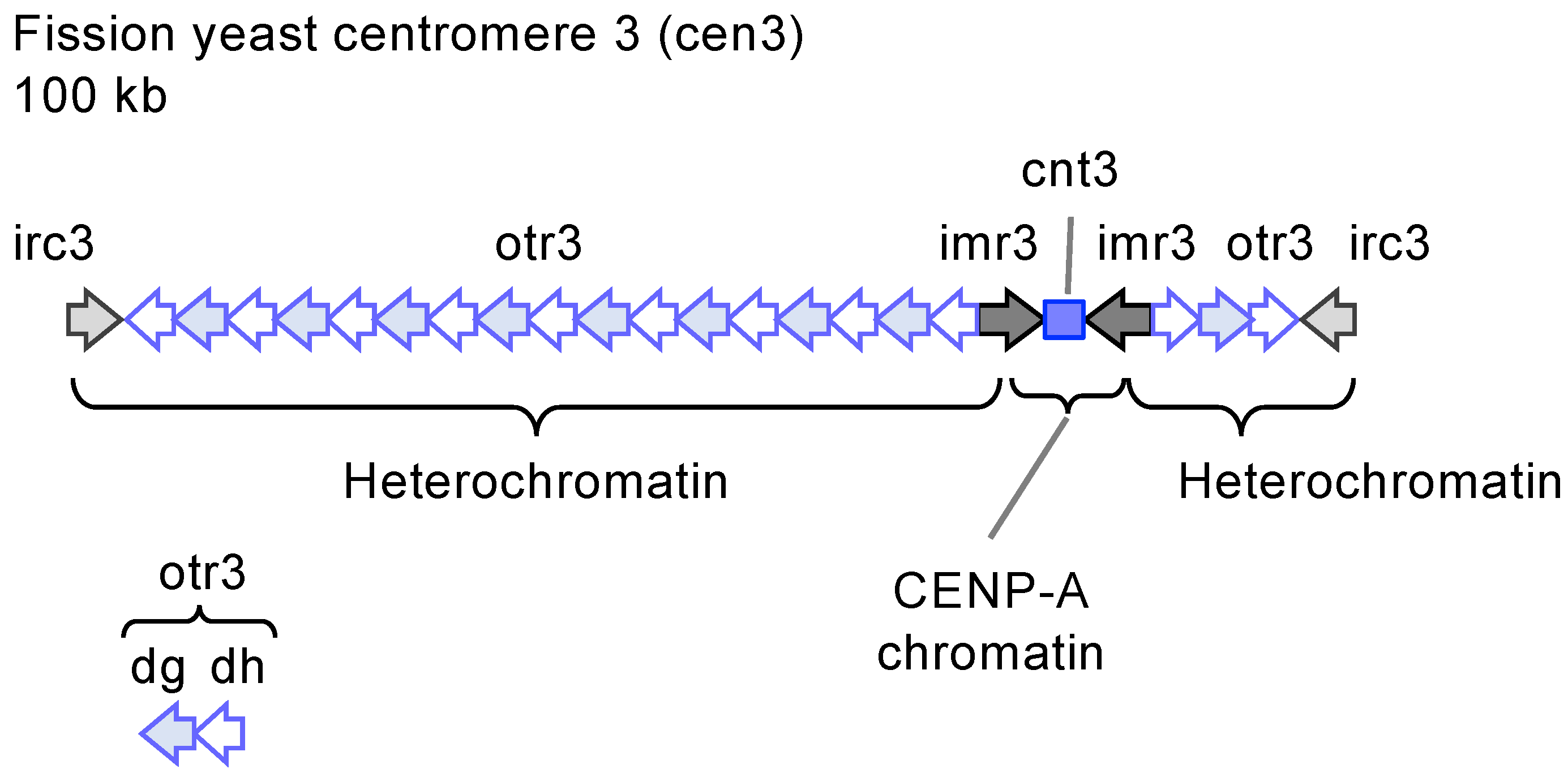 Biomolecules 14 00028 g003 Biomolecules 14 00028 g003
