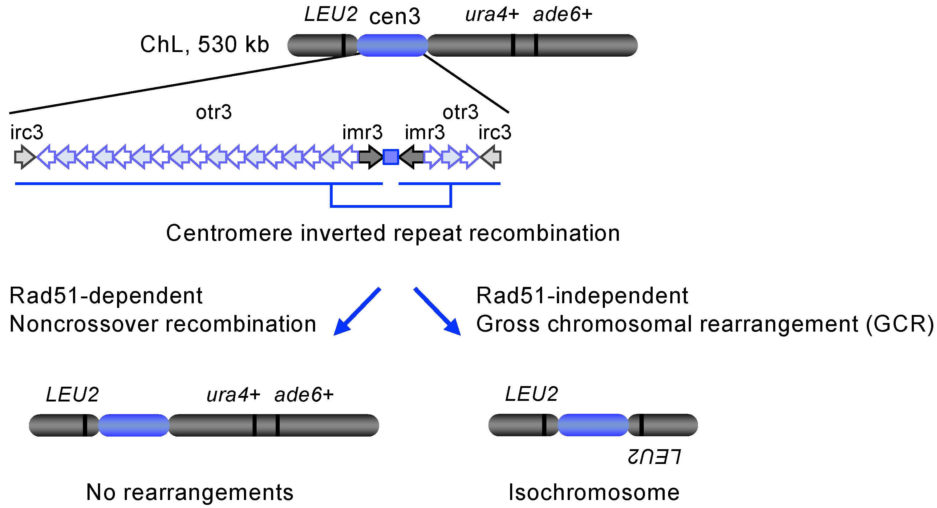 Biomolecules 14 00028 g004 Biomolecules 14 00028 g004