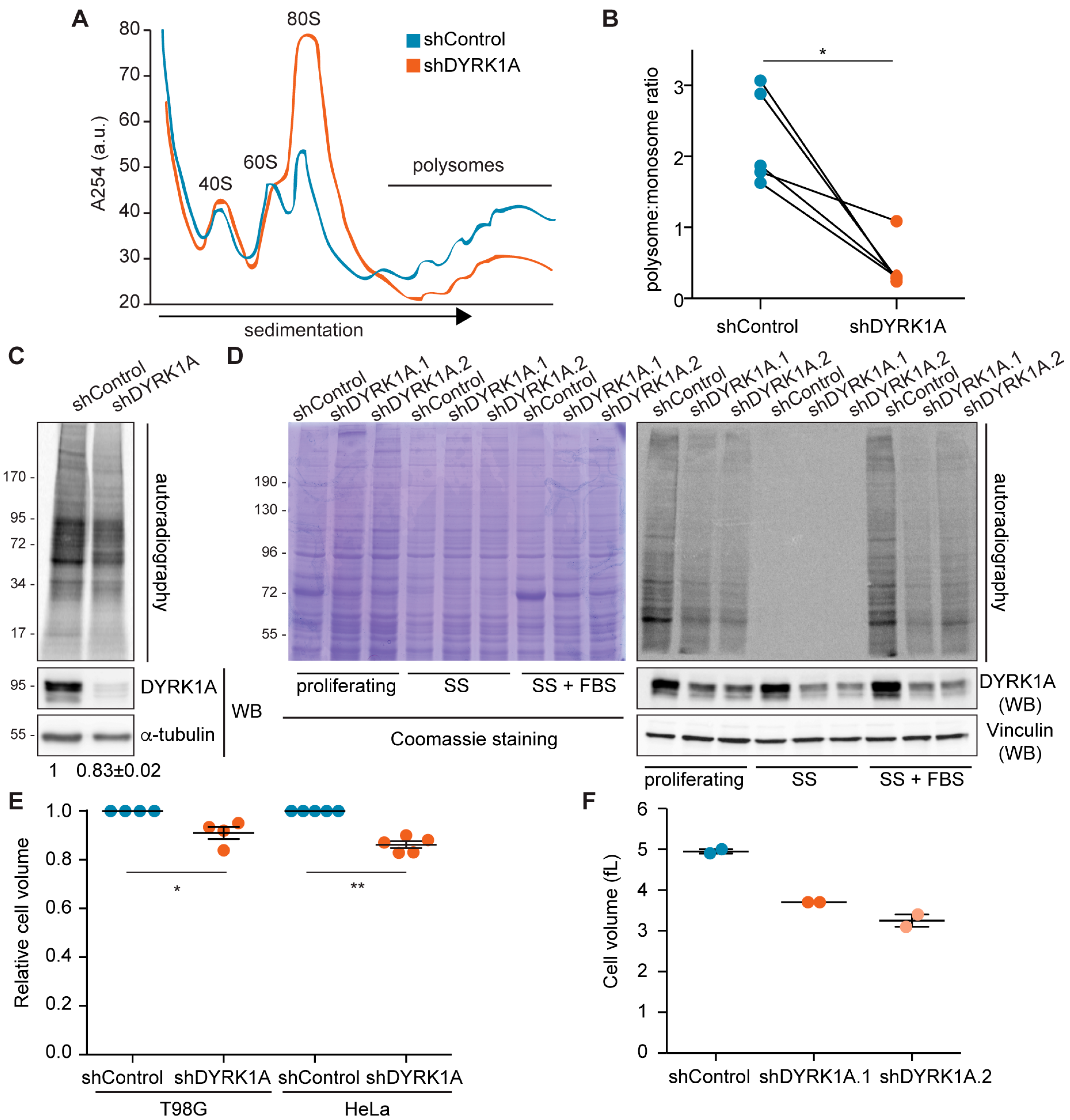 Biomolecules 14 00031 g007 Biomolecules 14 00031 g007