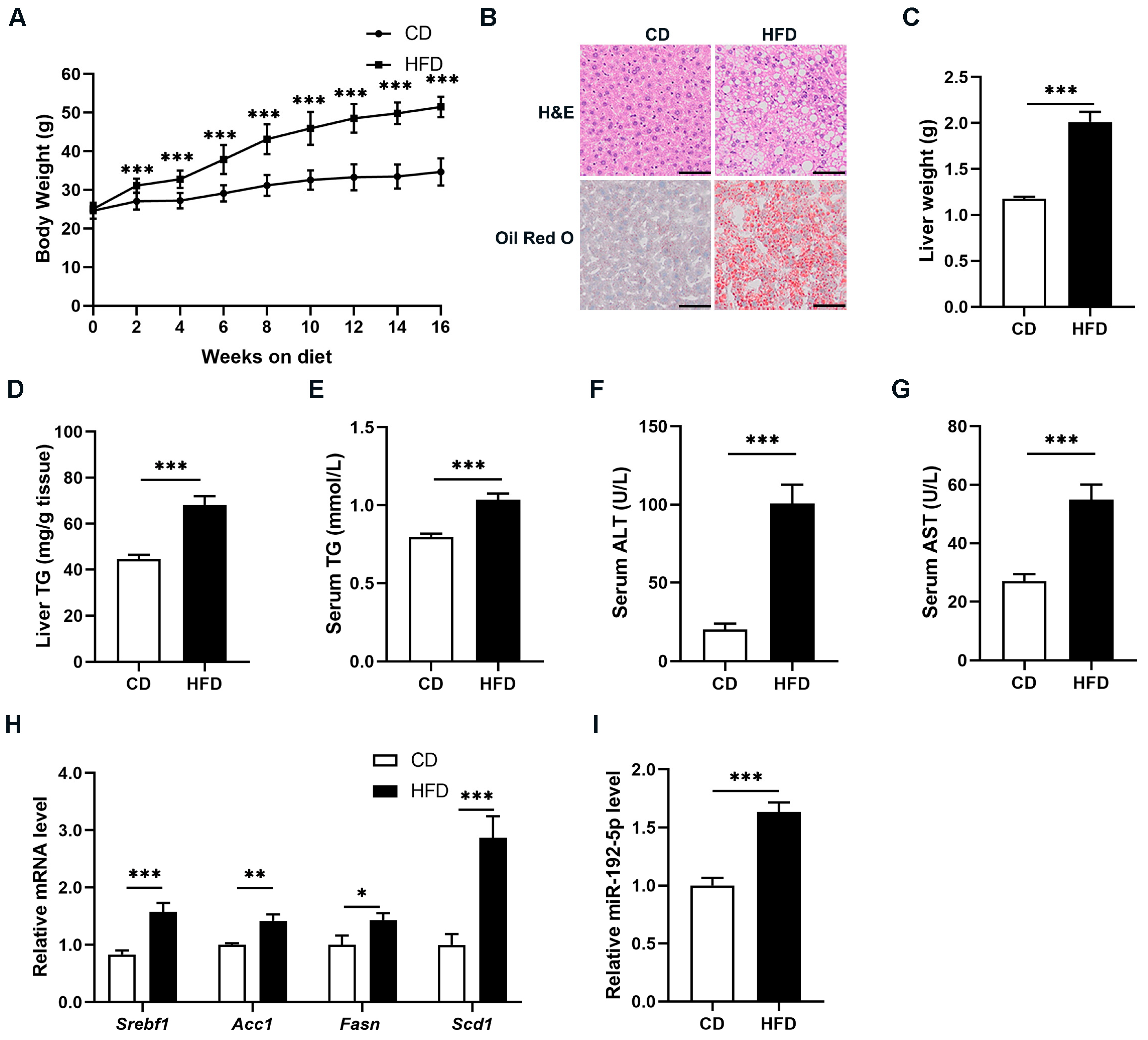 Biomolecules 14 00034 g001