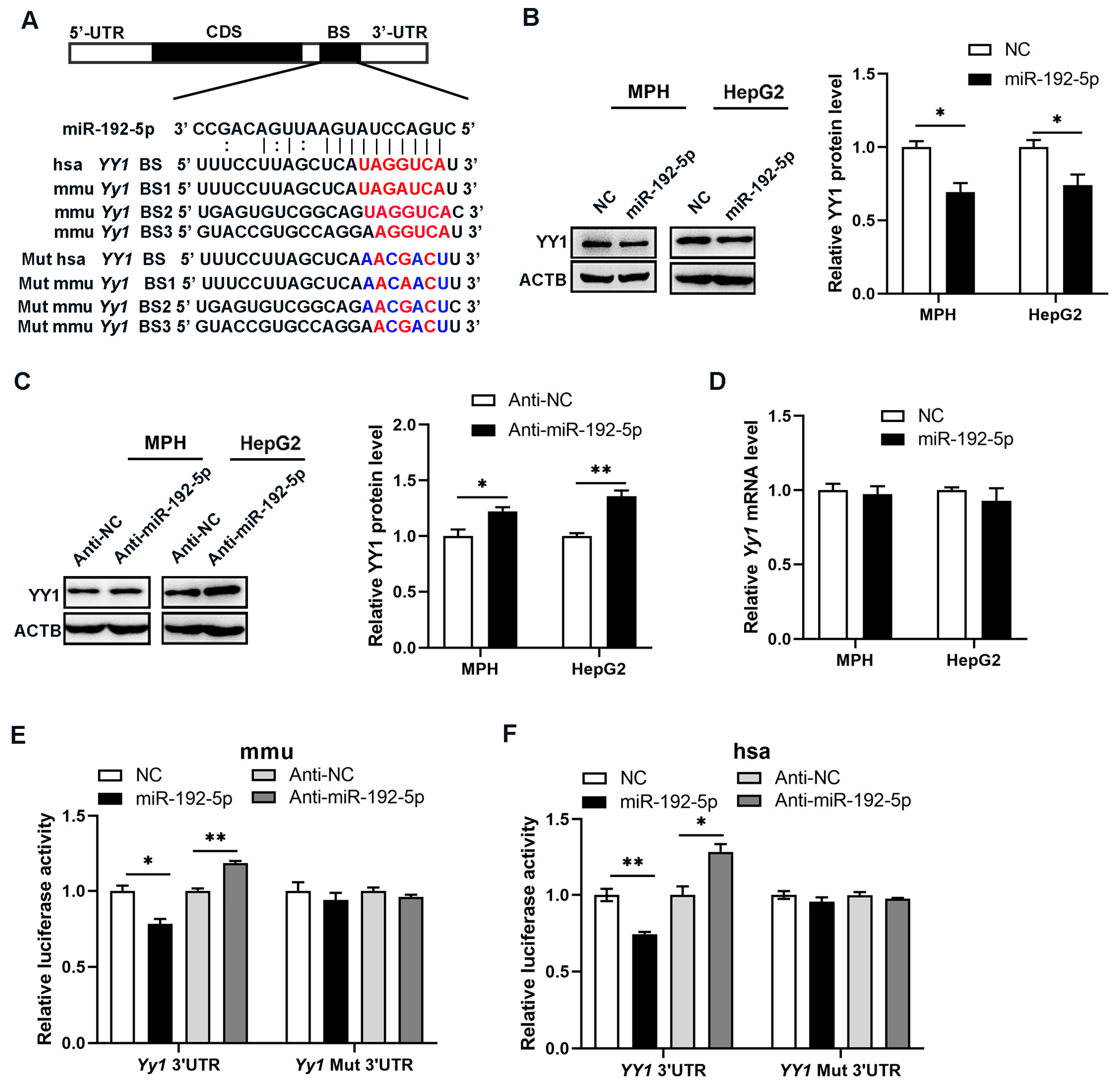 Biomolecules 14 00034 g005