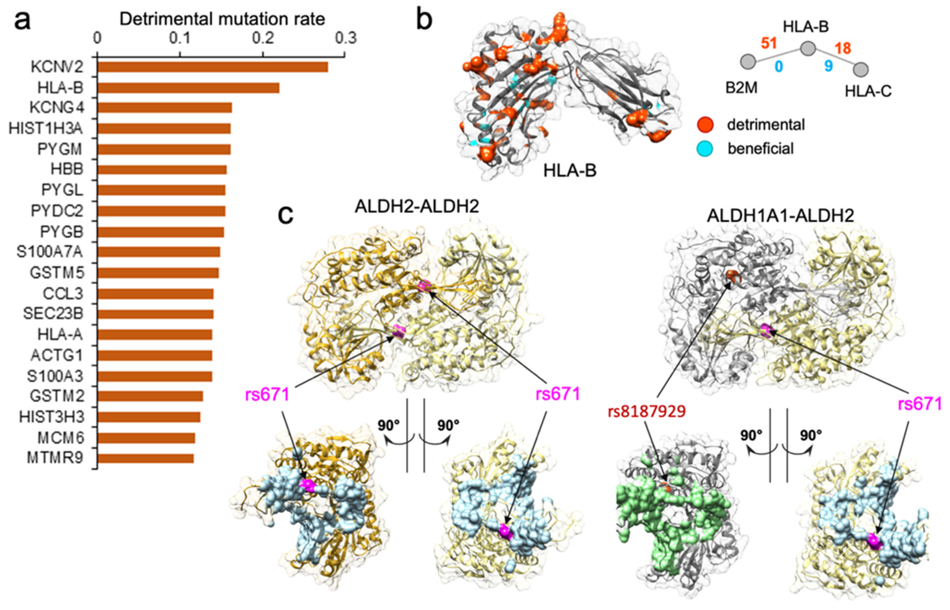 Biomolecules 14 00040 g003