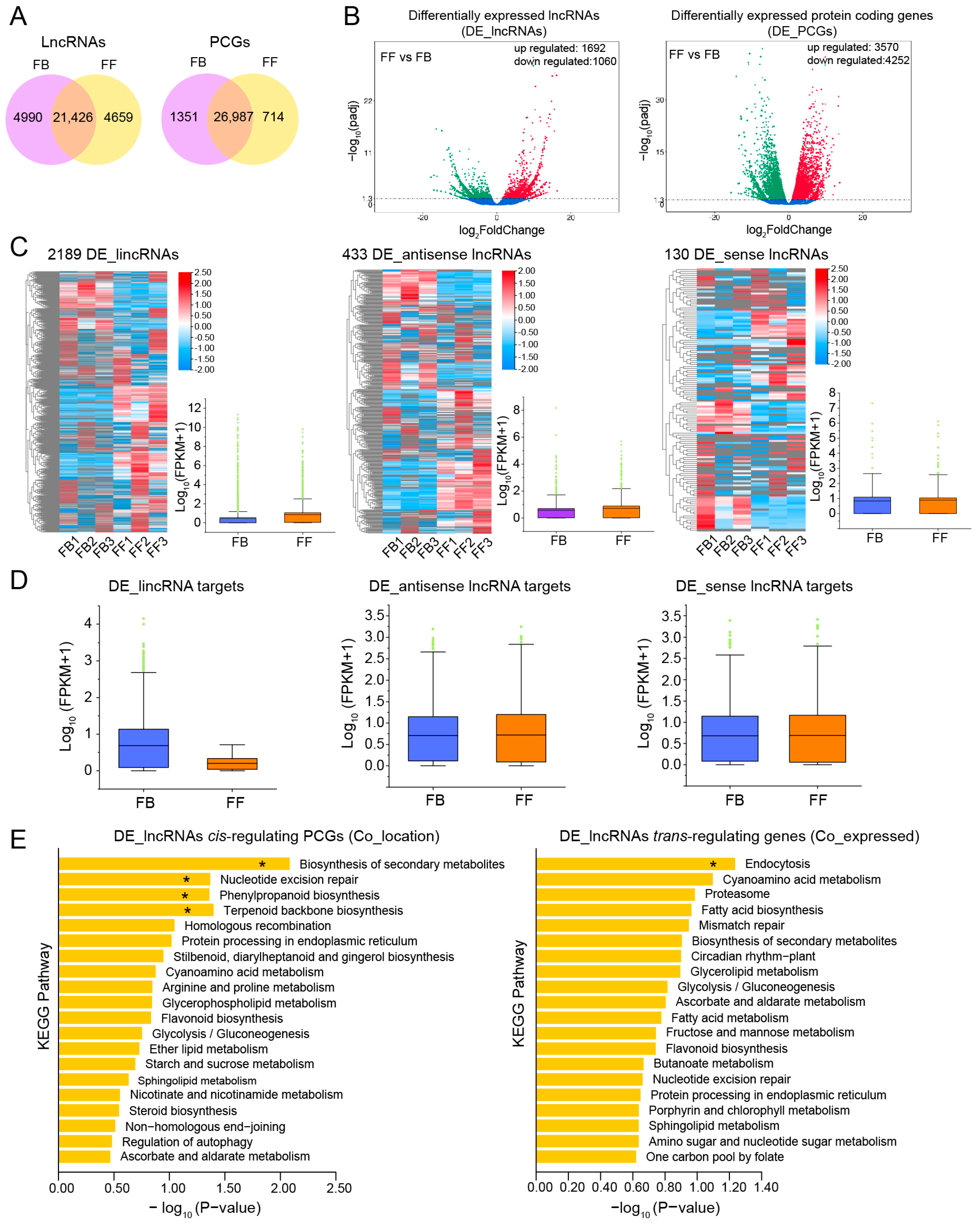 Biomolecules 14 00045 g004