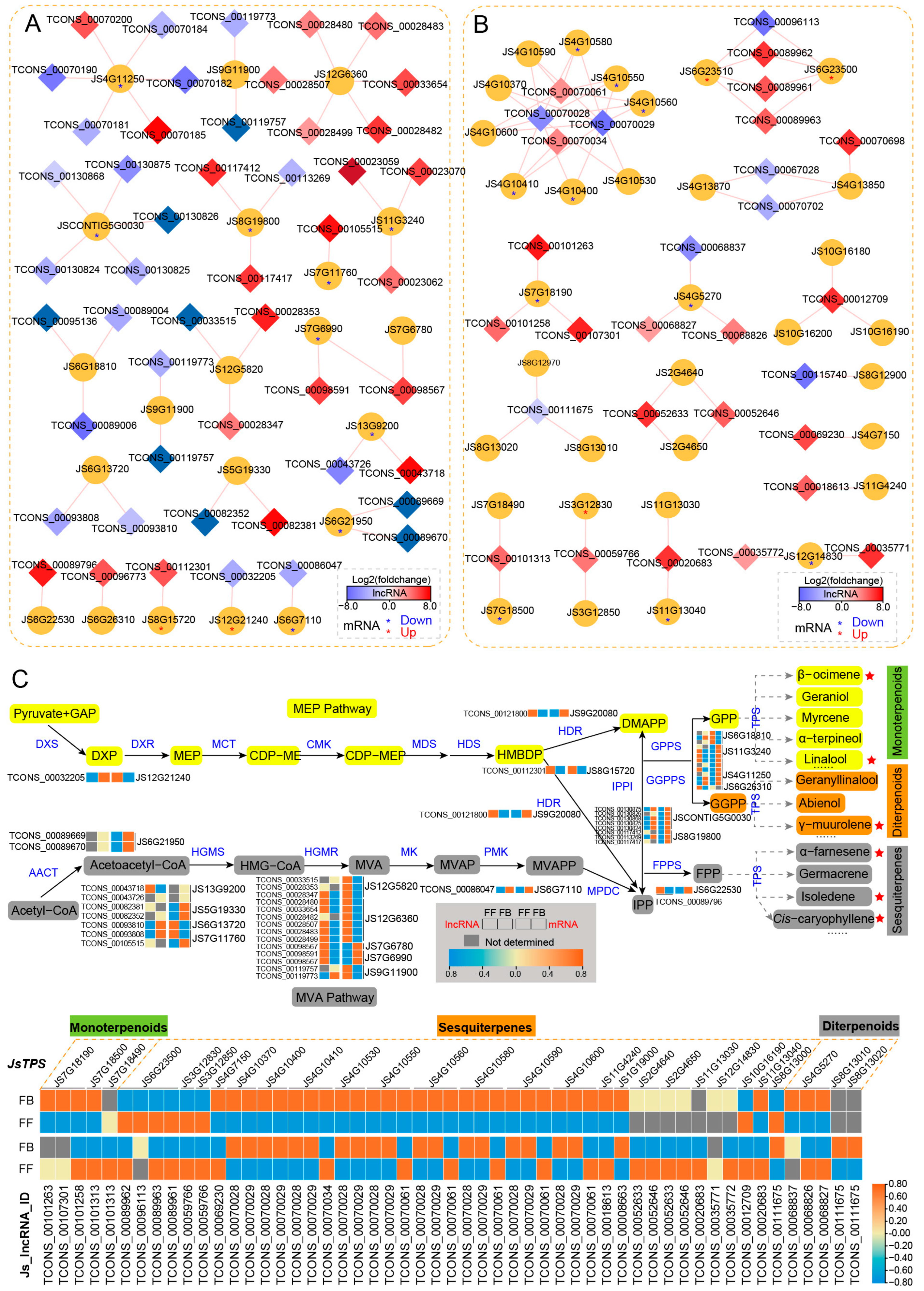 Biomolecules 14 00045 g005