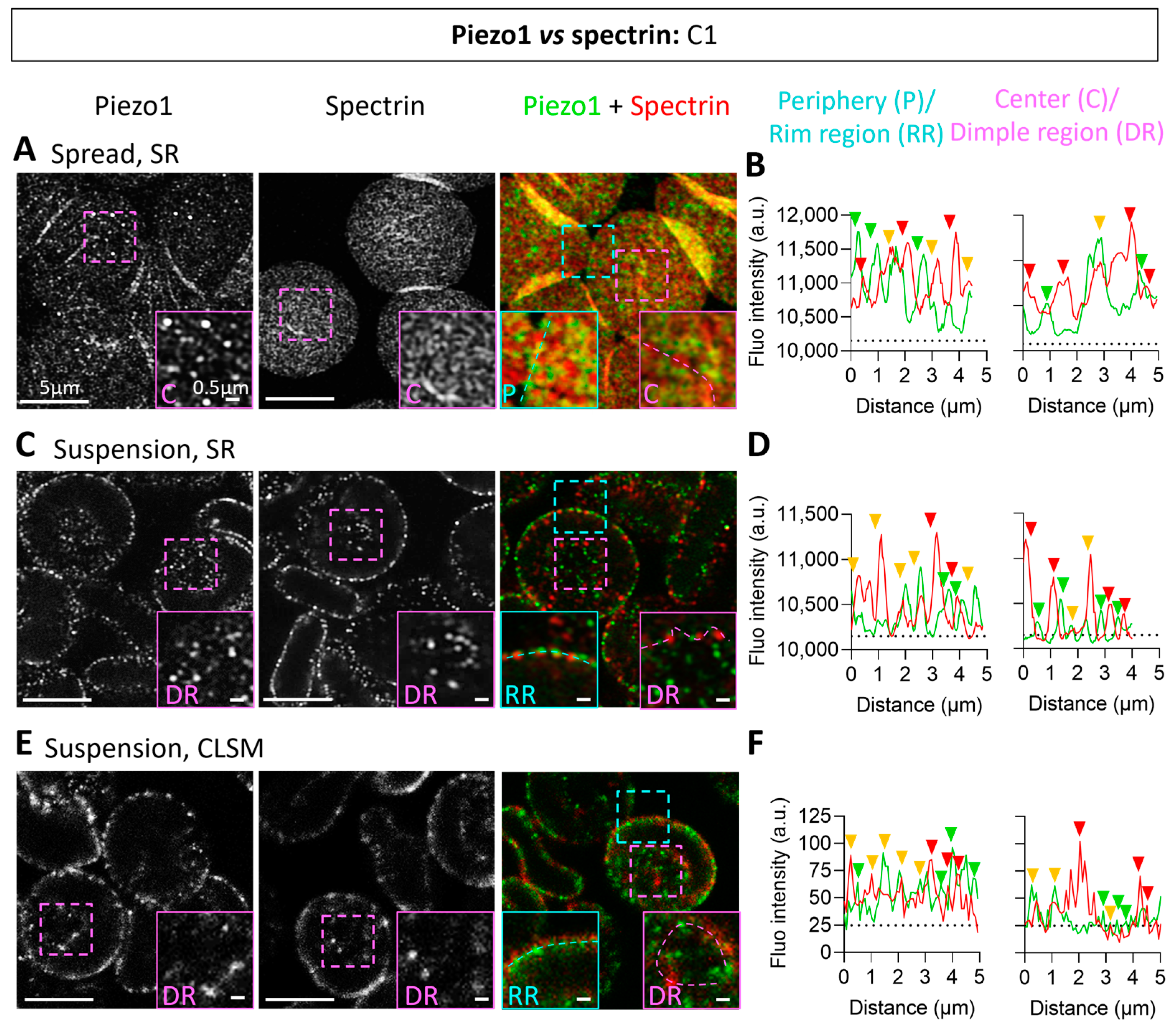 Biomolecules 14 00051 g002