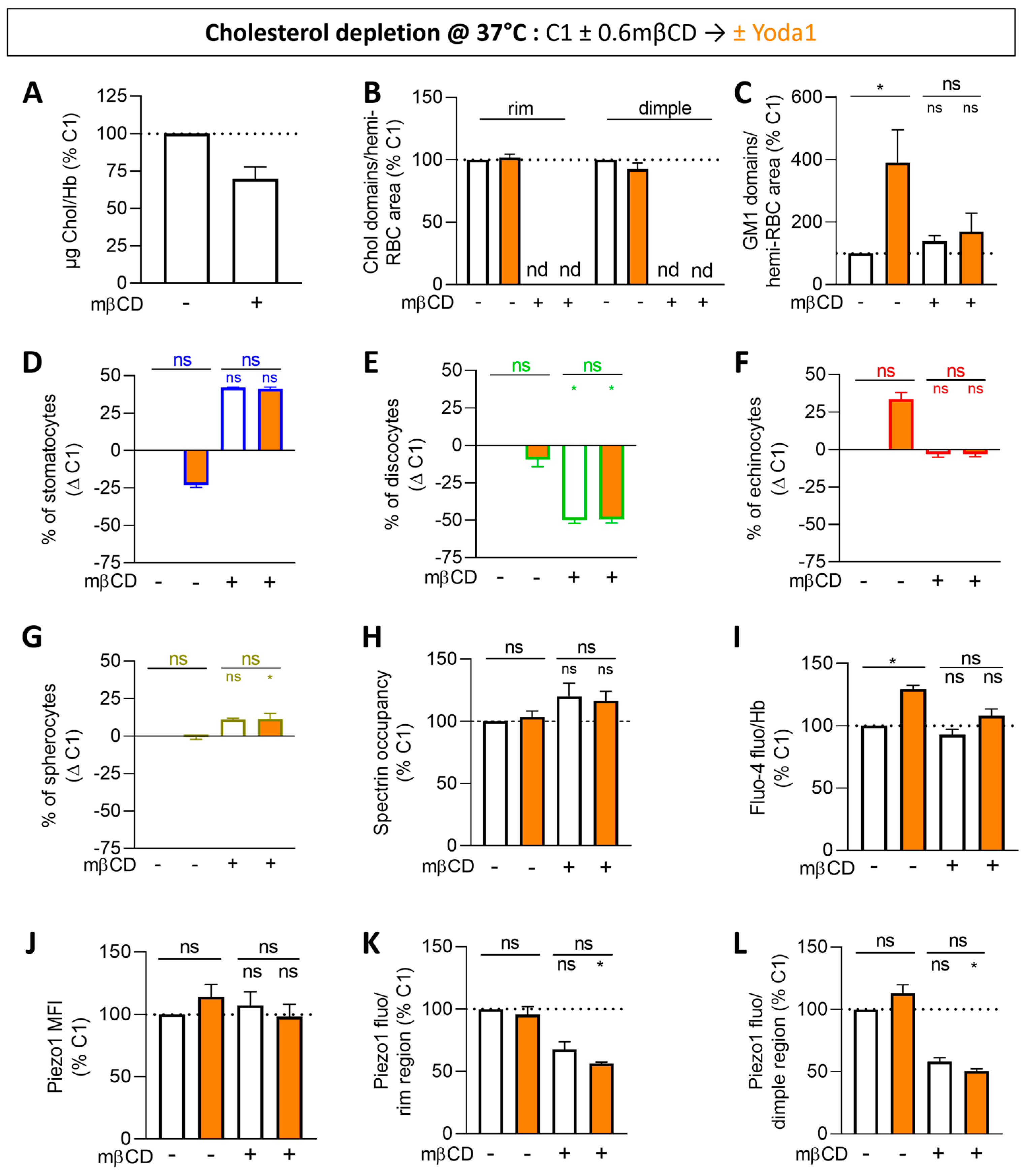 Biomolecules 14 00051 g005