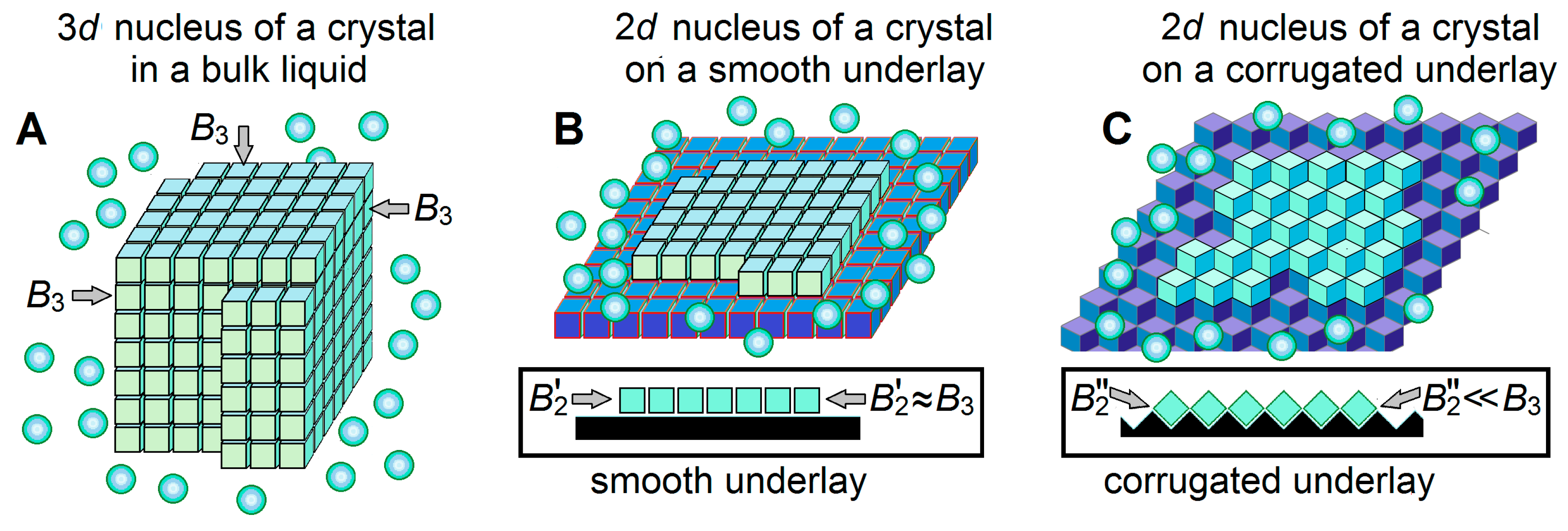 Biomolecules 14 00054 g004