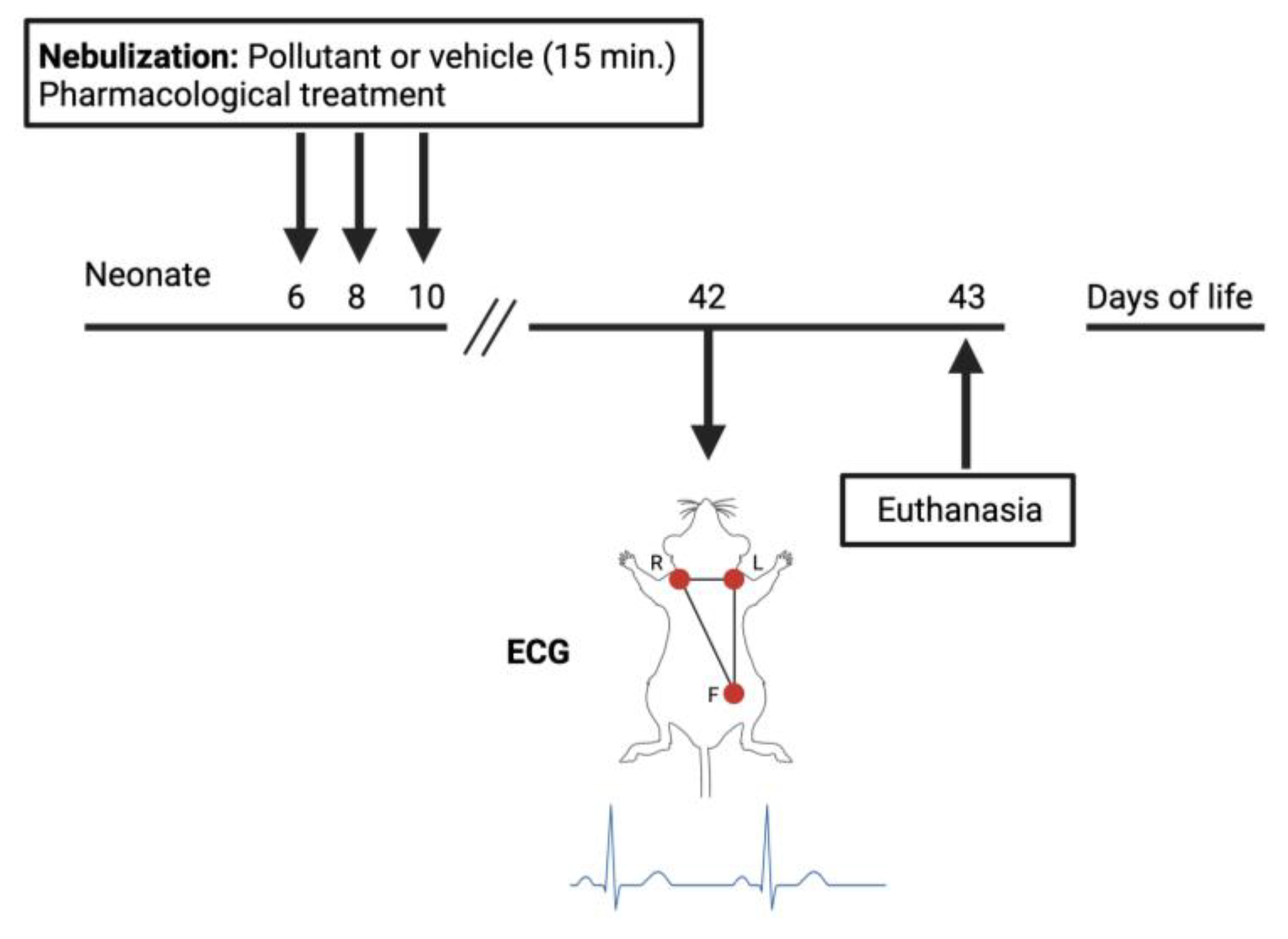 Biomolecules 14 00057 g001