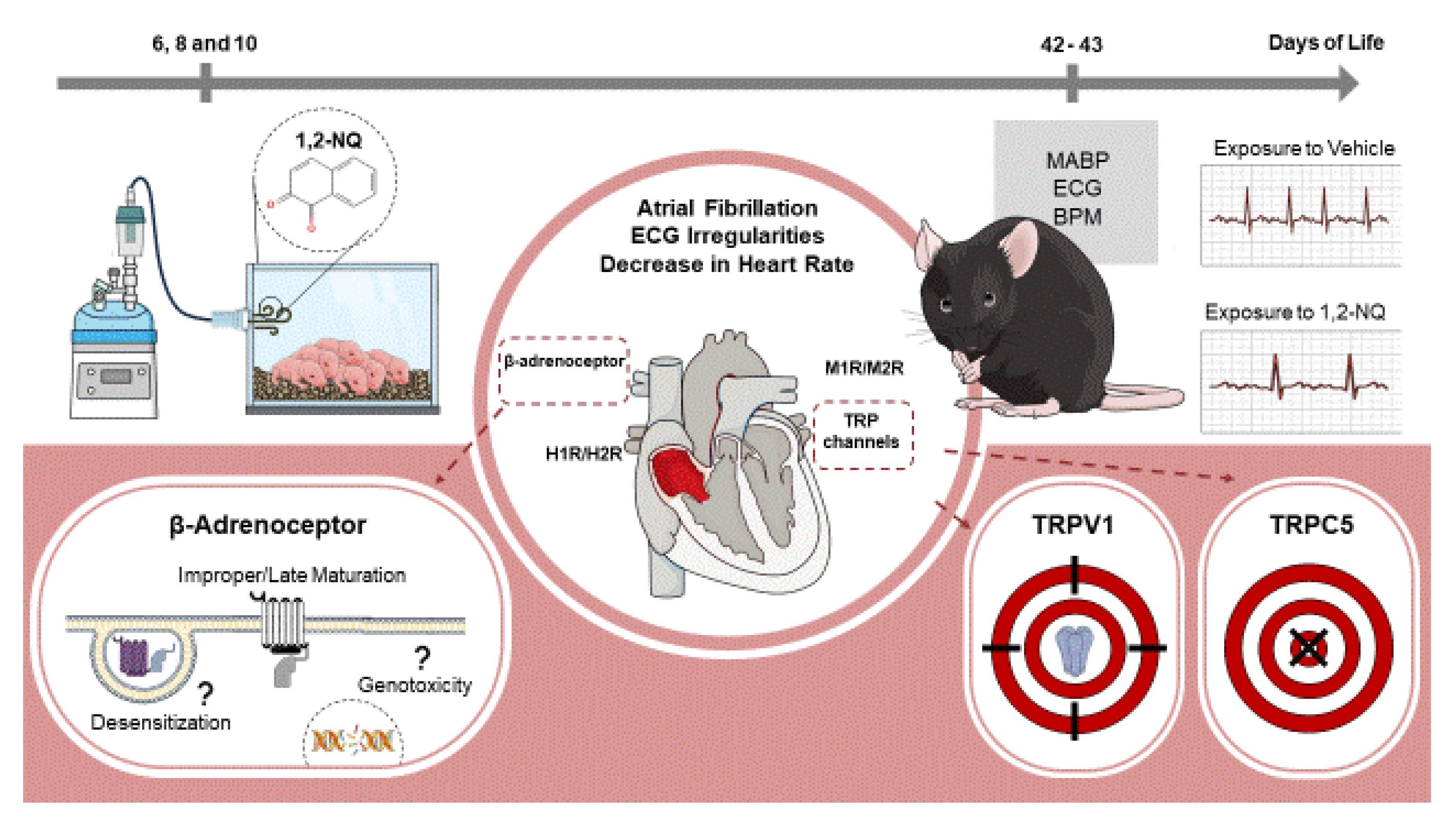 Biomolecules 14 00057 g009