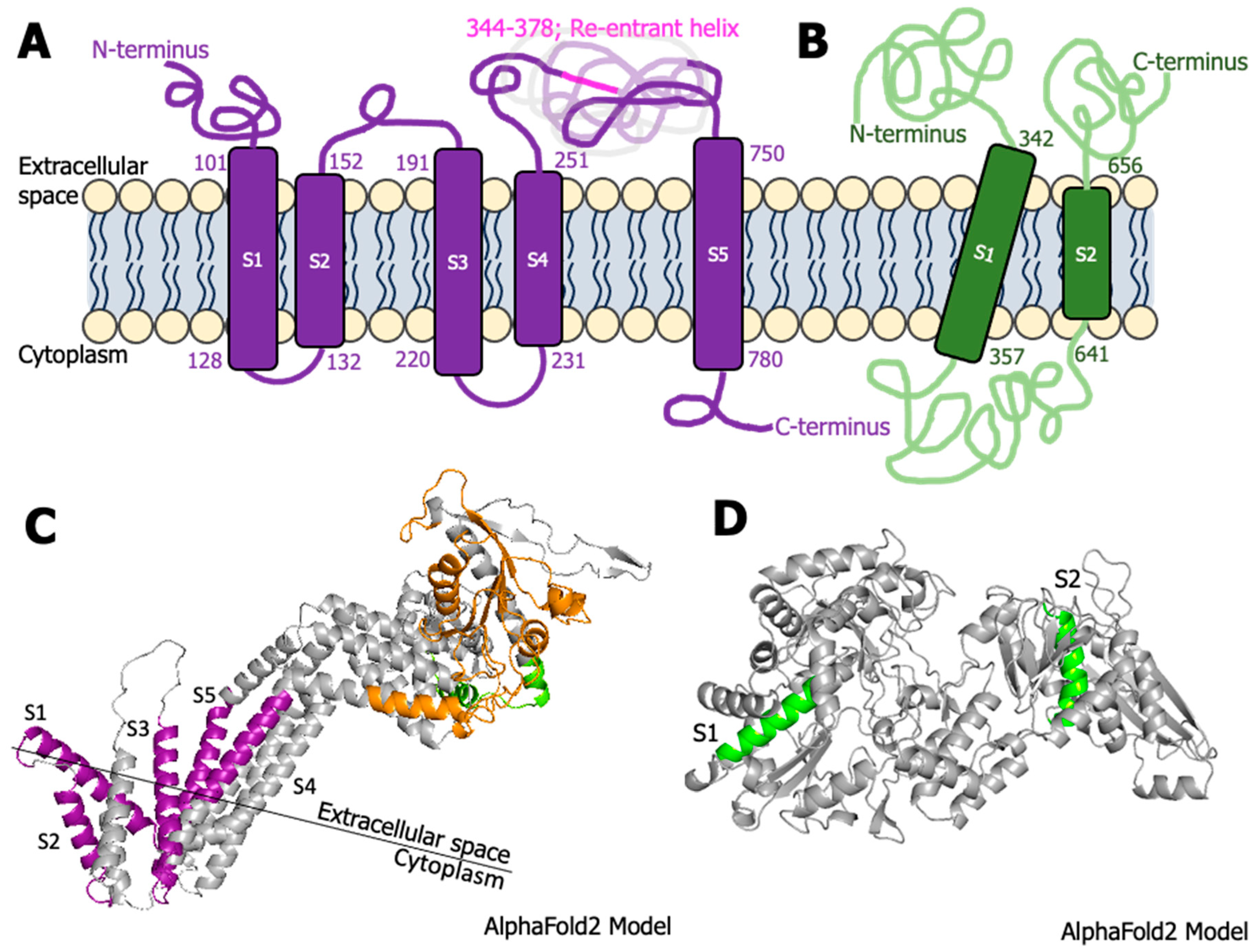 Biomolecules 14 00062 g005