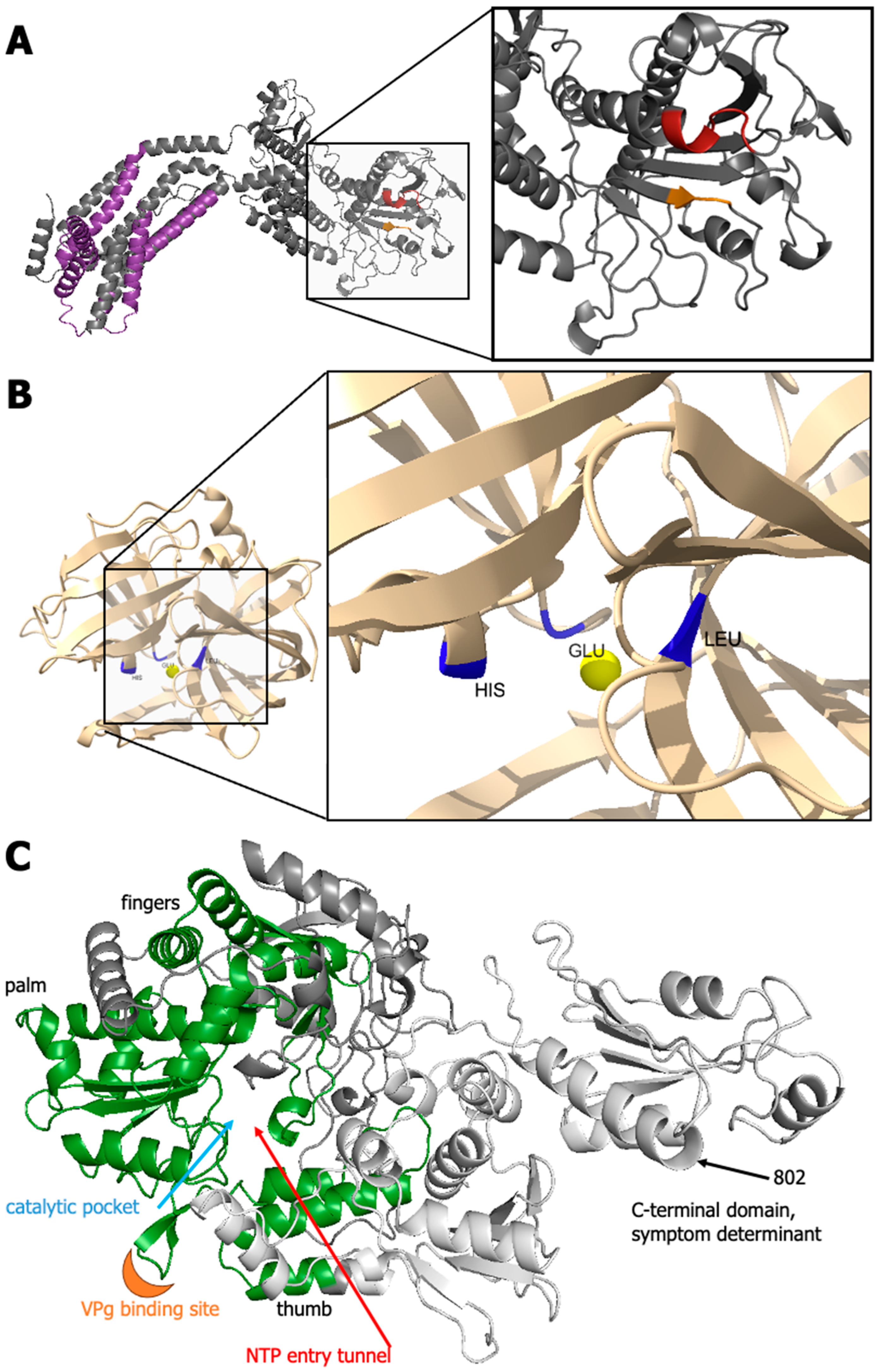 Biomolecules 14 00062 g006
